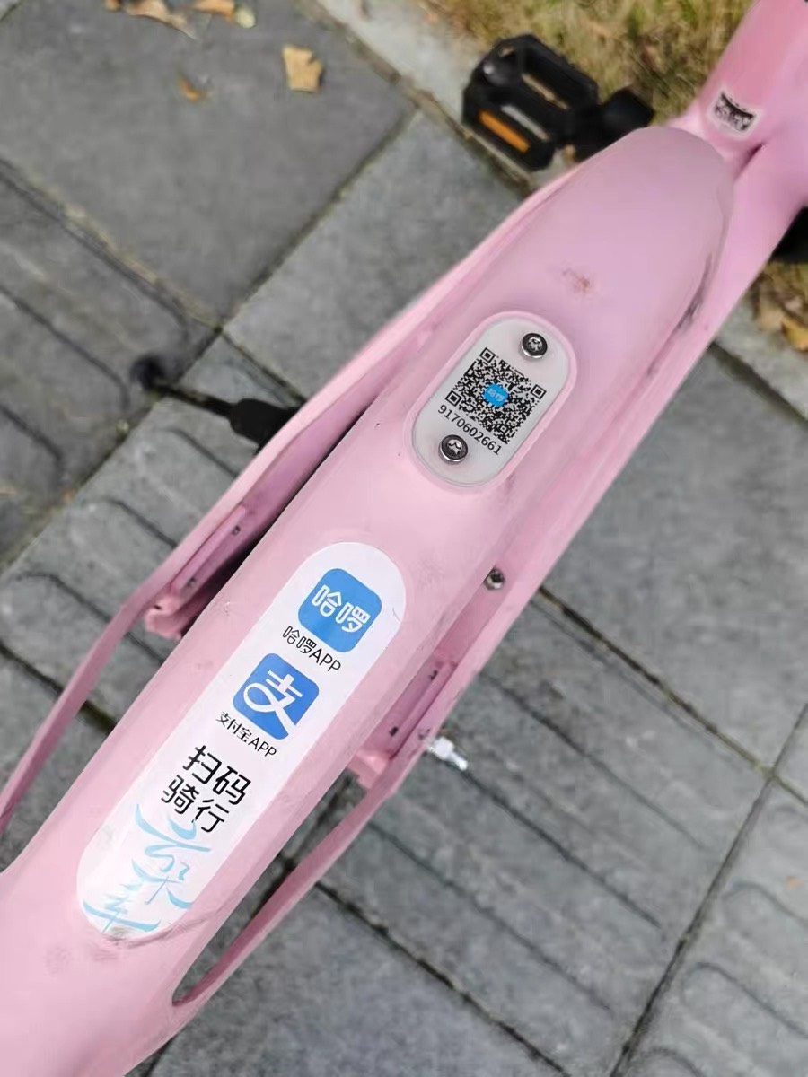 以后小仙女号还是不要出，
深工的哈啰3号拍的，拖到今天确认收货现在给我说扫不了车投98 / 作者:旋木跳独舞 / 