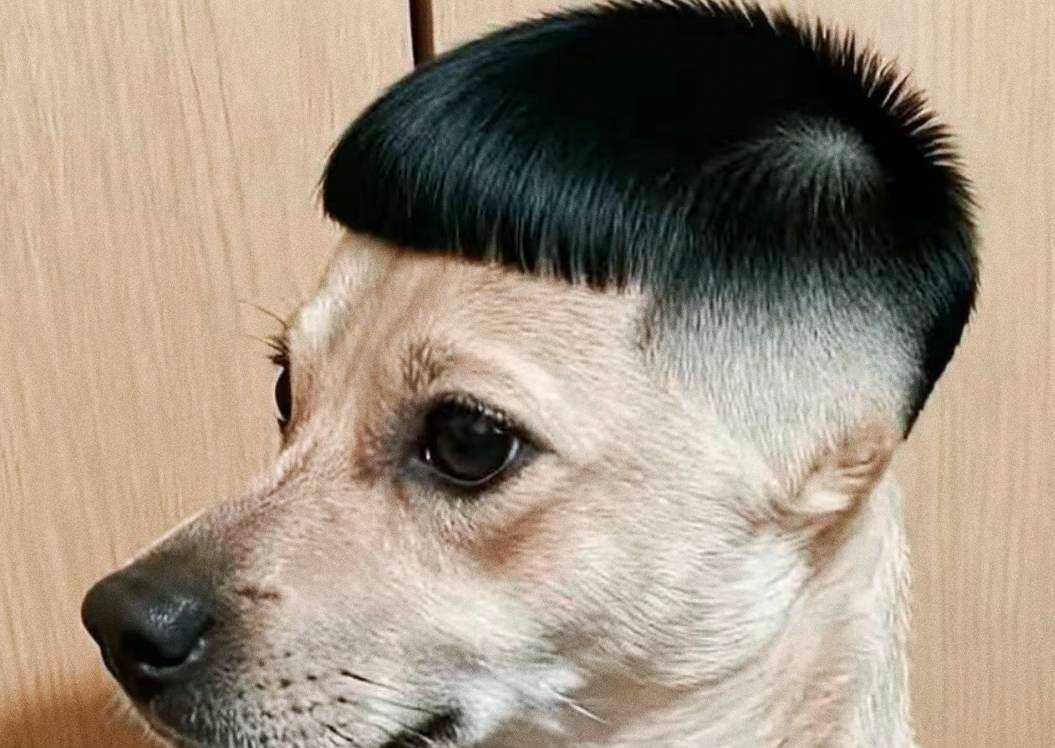 十月份在一家小厂做了16天，然后不做了，现在能给他要工资吗？3200

25 / 作者:建湖大黑户 / 