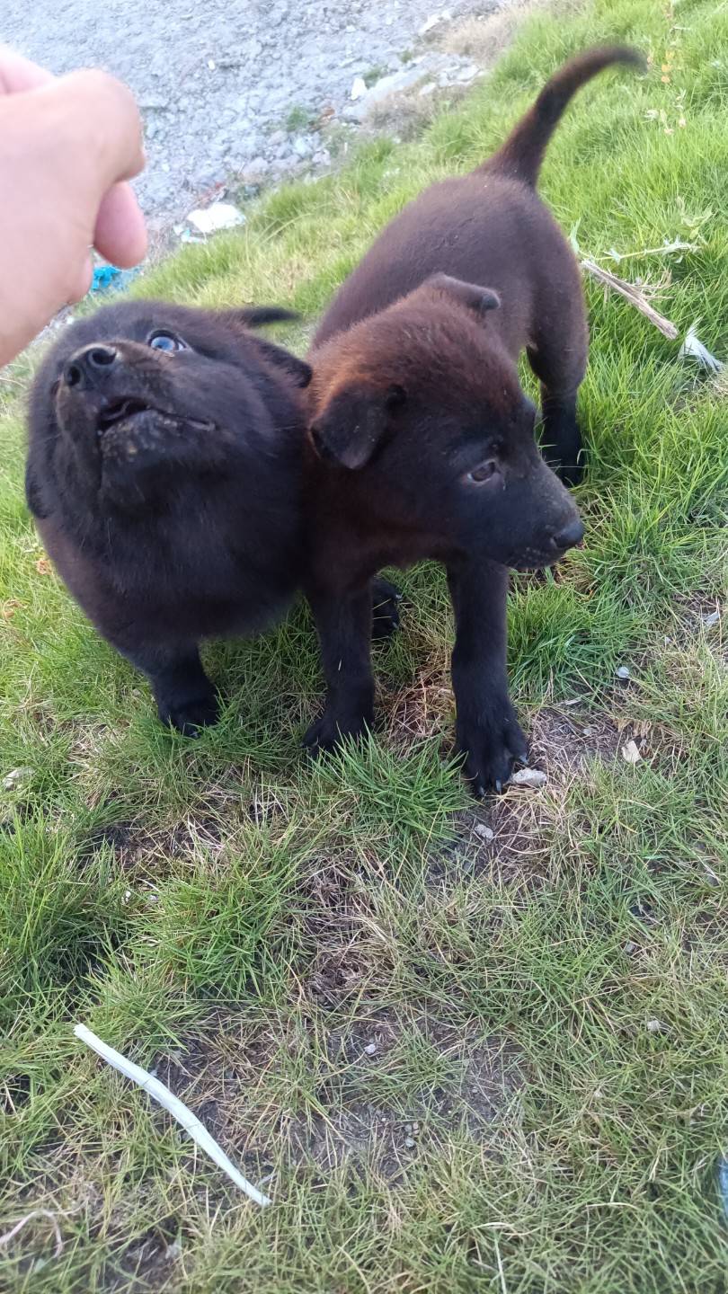 奥特曼社区666

91 / 作者:微信用户就 / 