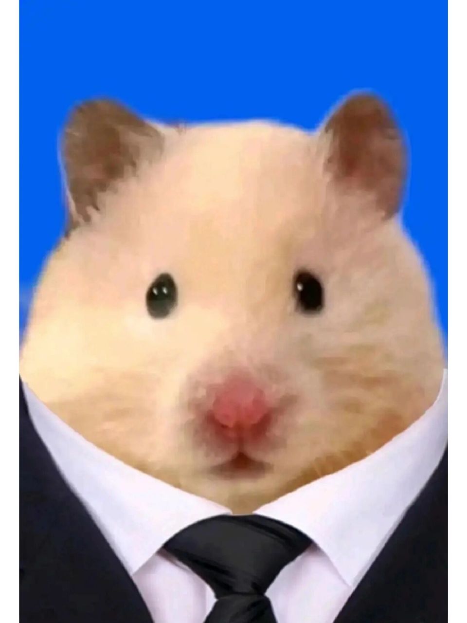 触发保底了最后一次拿下



77 / 作者:爱幻想的肺雾 / 