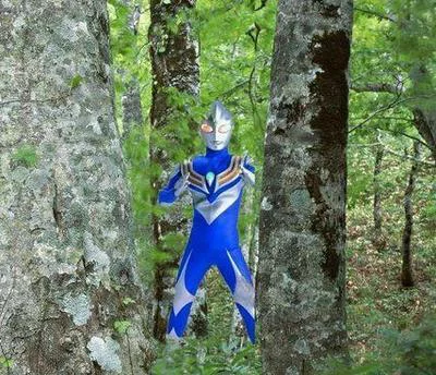 发现野生奥特曼，请求捕捉。捕捉回复R

77 / 作者:昼夜寻觅 / 