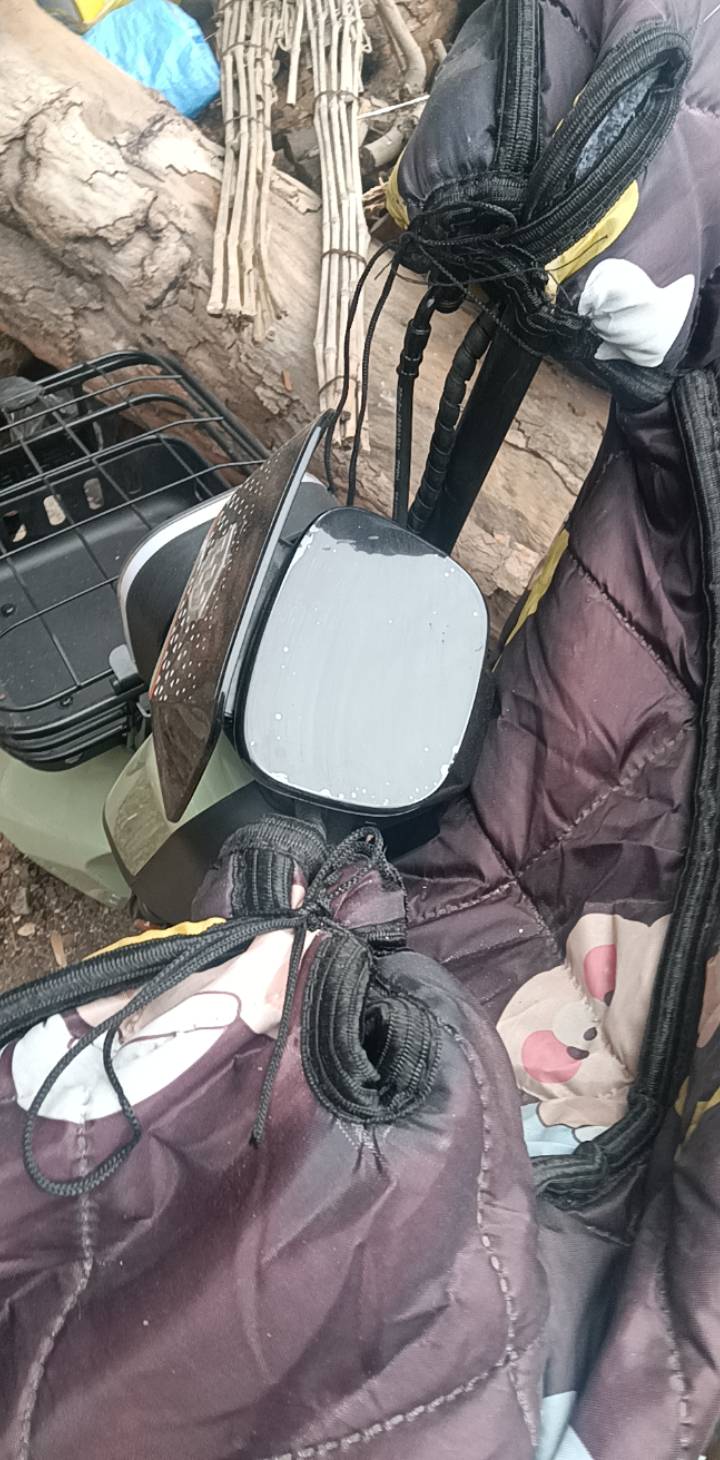 我妈昨天给我说，只要别玩手机，挣的钱全部给我都行，昨天花4千多给我买了一辆电瓶车62 / 作者:无羊毛111 / 