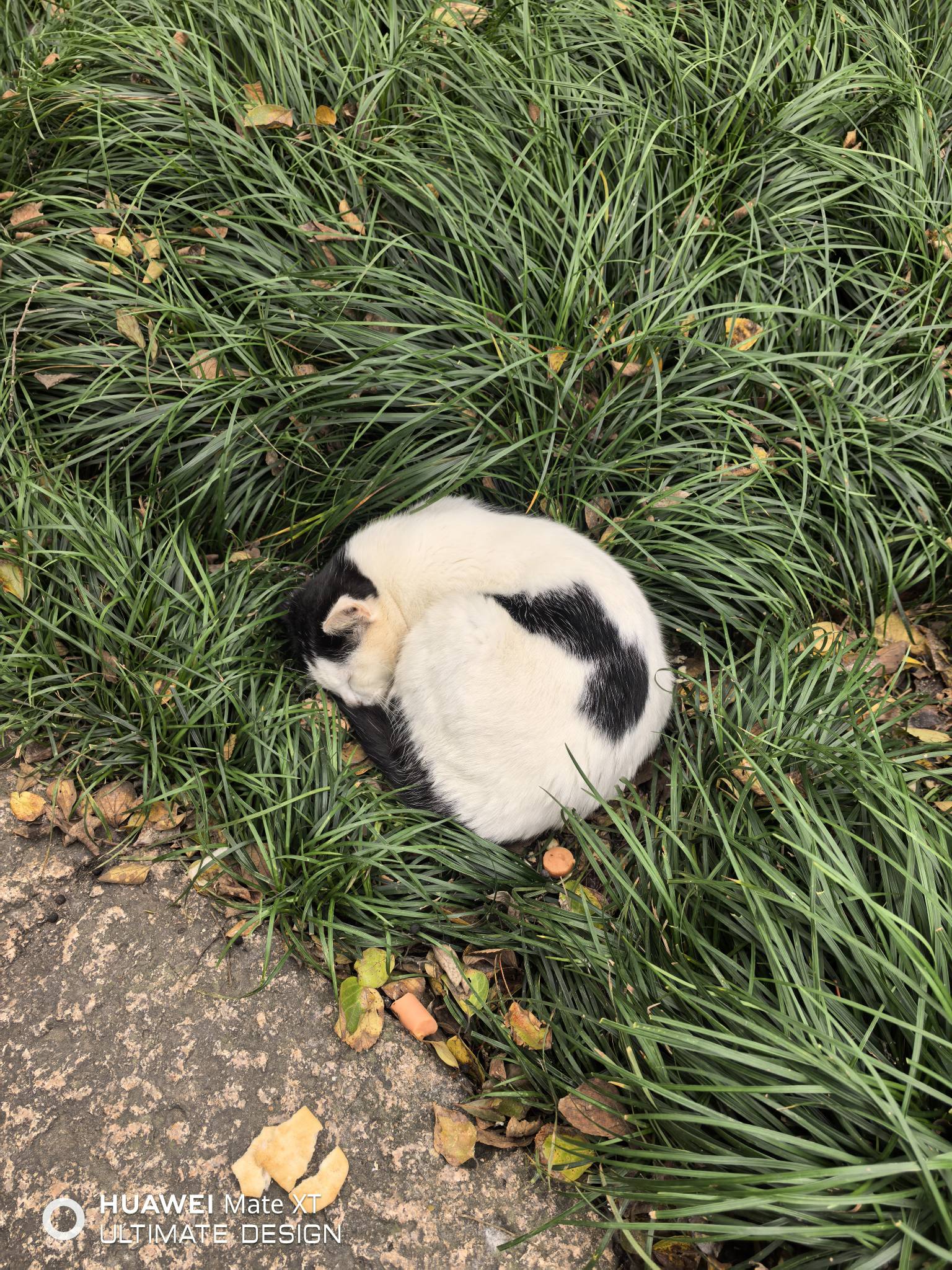 发不出帖子，老是被删除，快把本公主气哭了

58 / 作者:婷婷棒棒哒 / 