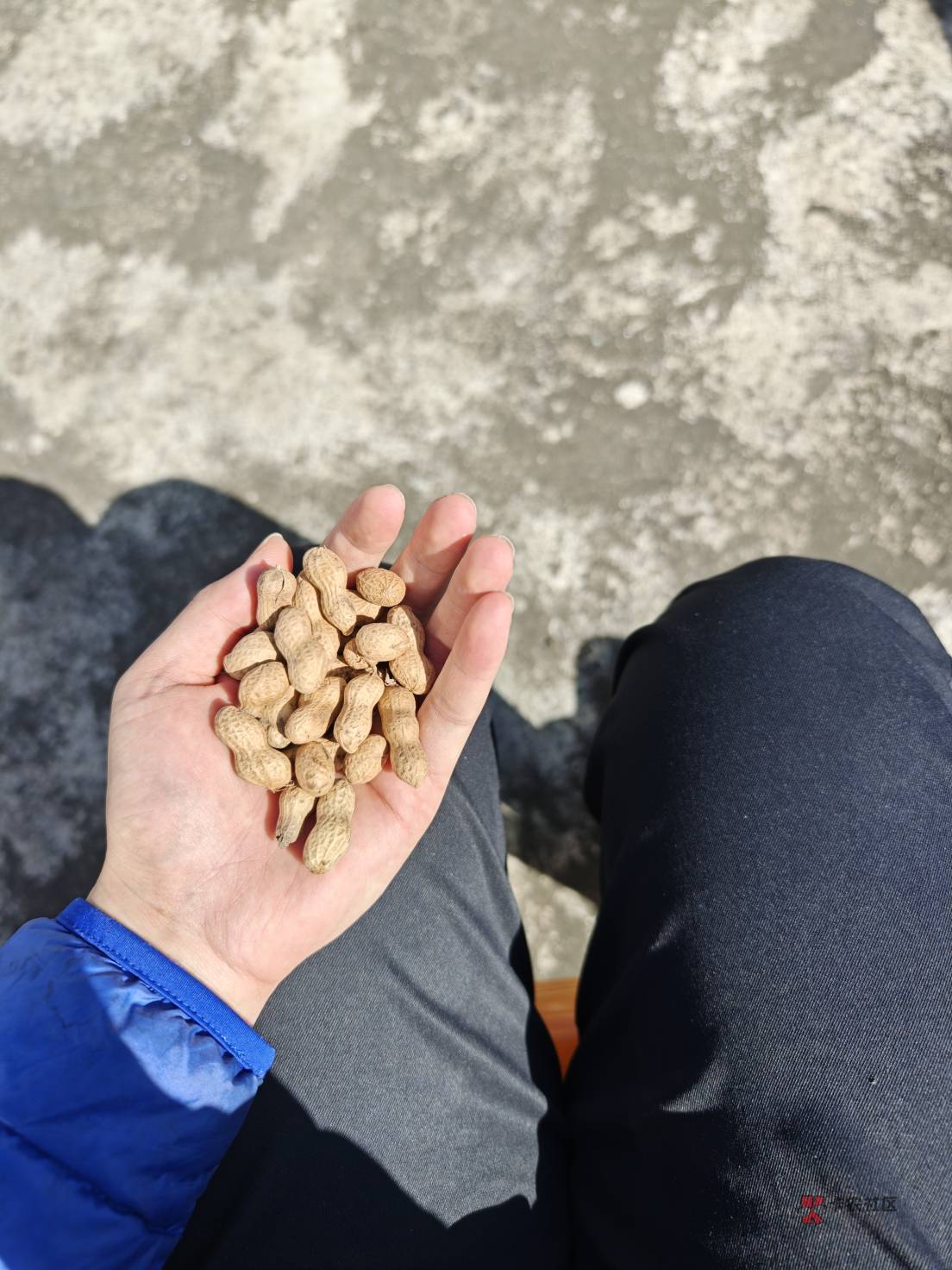 年底了，有催收的，也有推荐申请贷款的

2 / 作者:风中之神-聂风 / 