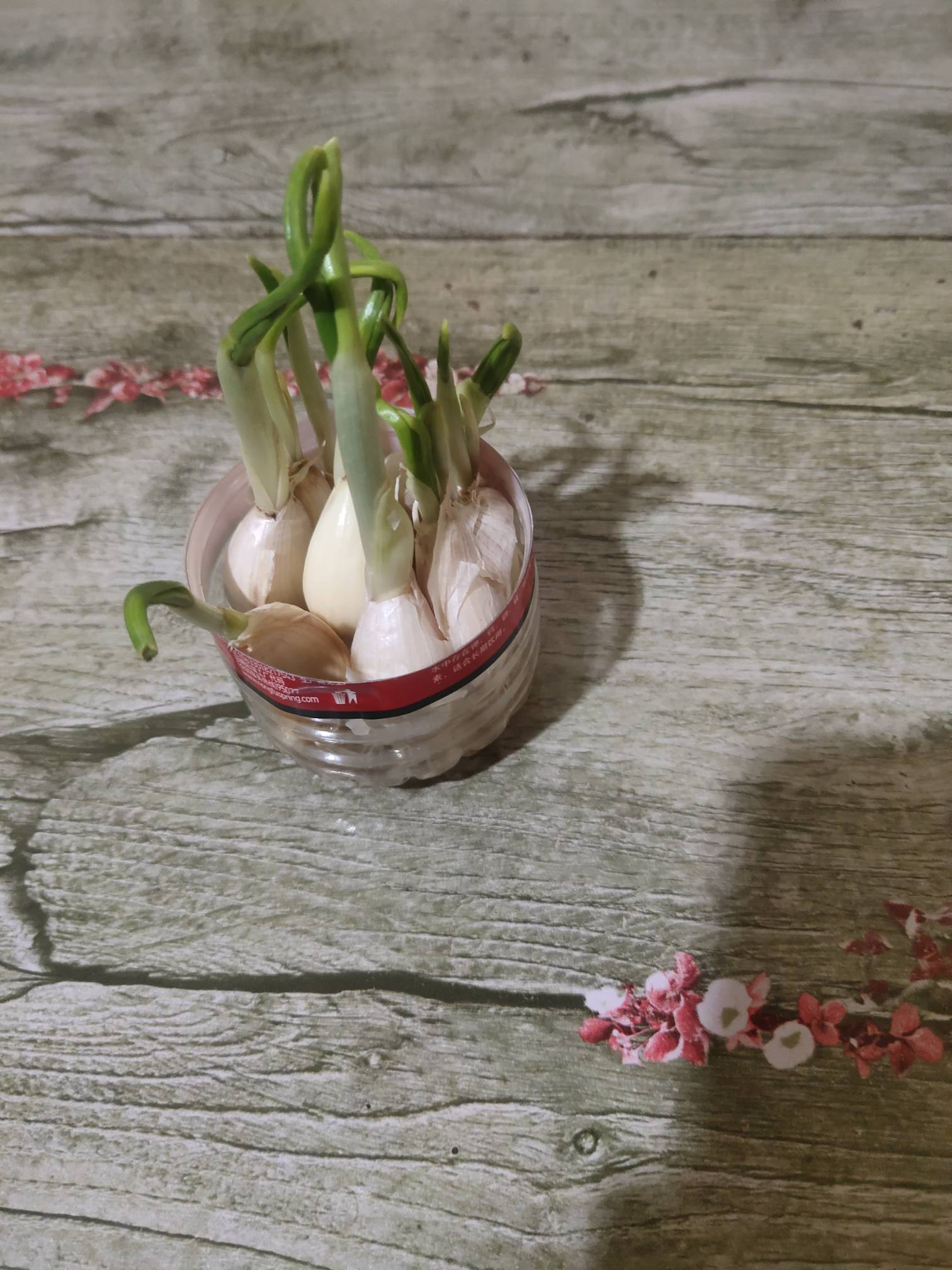 刚才出去买烟光大立减了2块

55 / 作者:一路向前8 / 