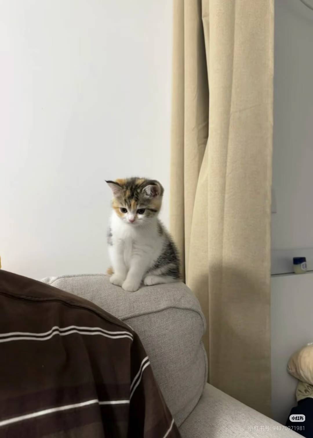 羊毛盛世了 今天基本都是人人破百吧？凌晨的游戏大毛 白天还有平安和证券，晚上还有大30 / 作者:理理理66 / 