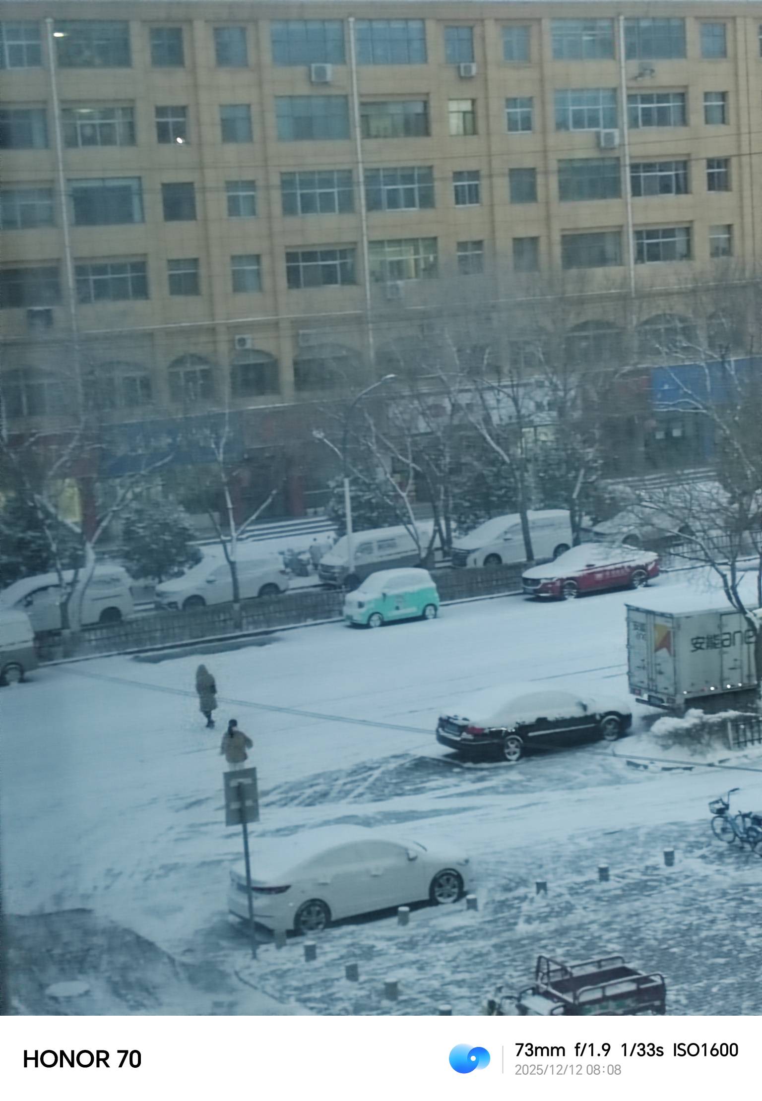 一夜之间白了

37 / 作者:野王再就业 / 