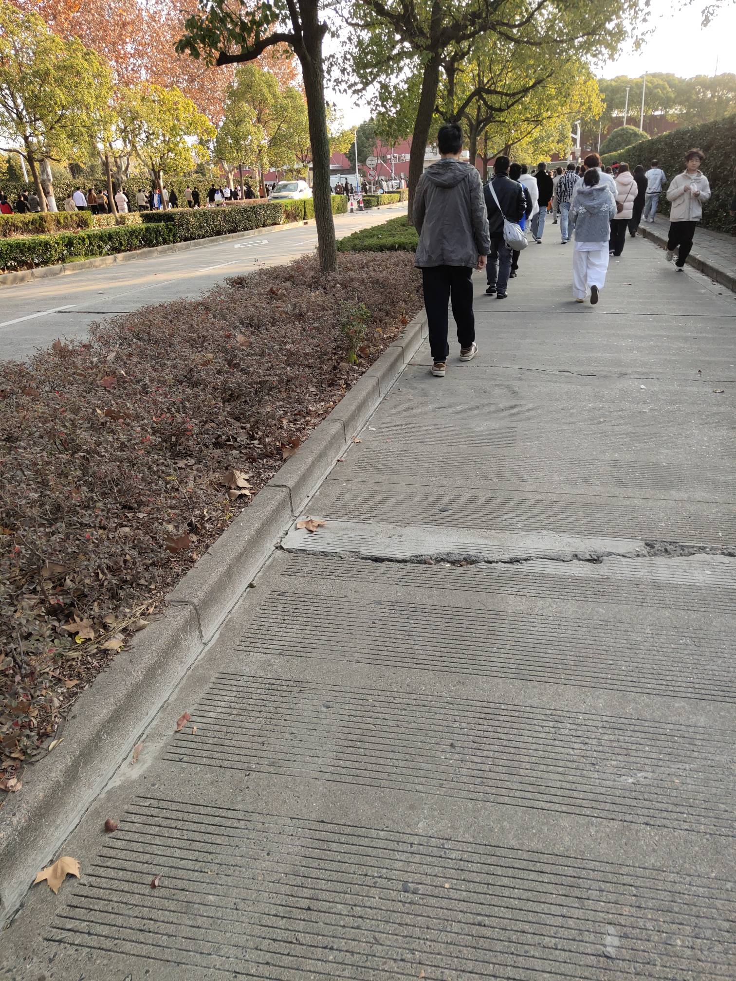 又是262.5毛到手，昨天的还没花完勒

70 / 作者:日了中子星 / 