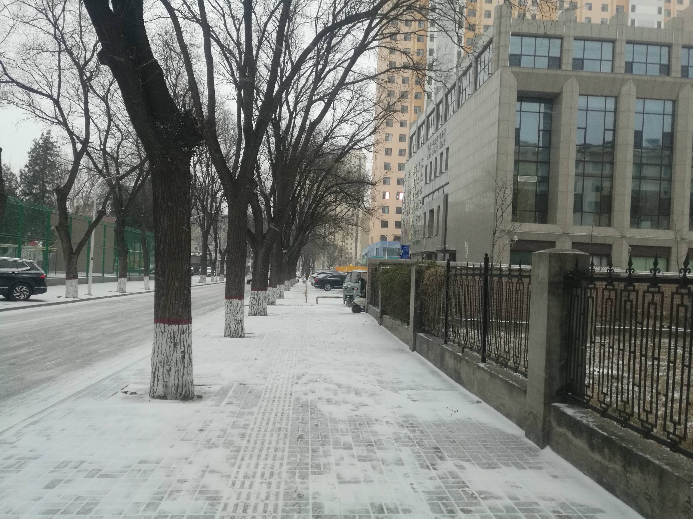 倒下了 也算应景了 还以为下不下雪

25 / 作者:努力优秀_ / 