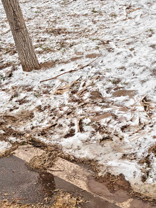 河南下雪了，吵了，我开的不是奥迪是雅迪，上班路上太冷了，晚上结冰了，还不知道下班10 / 作者:YukiXX / 