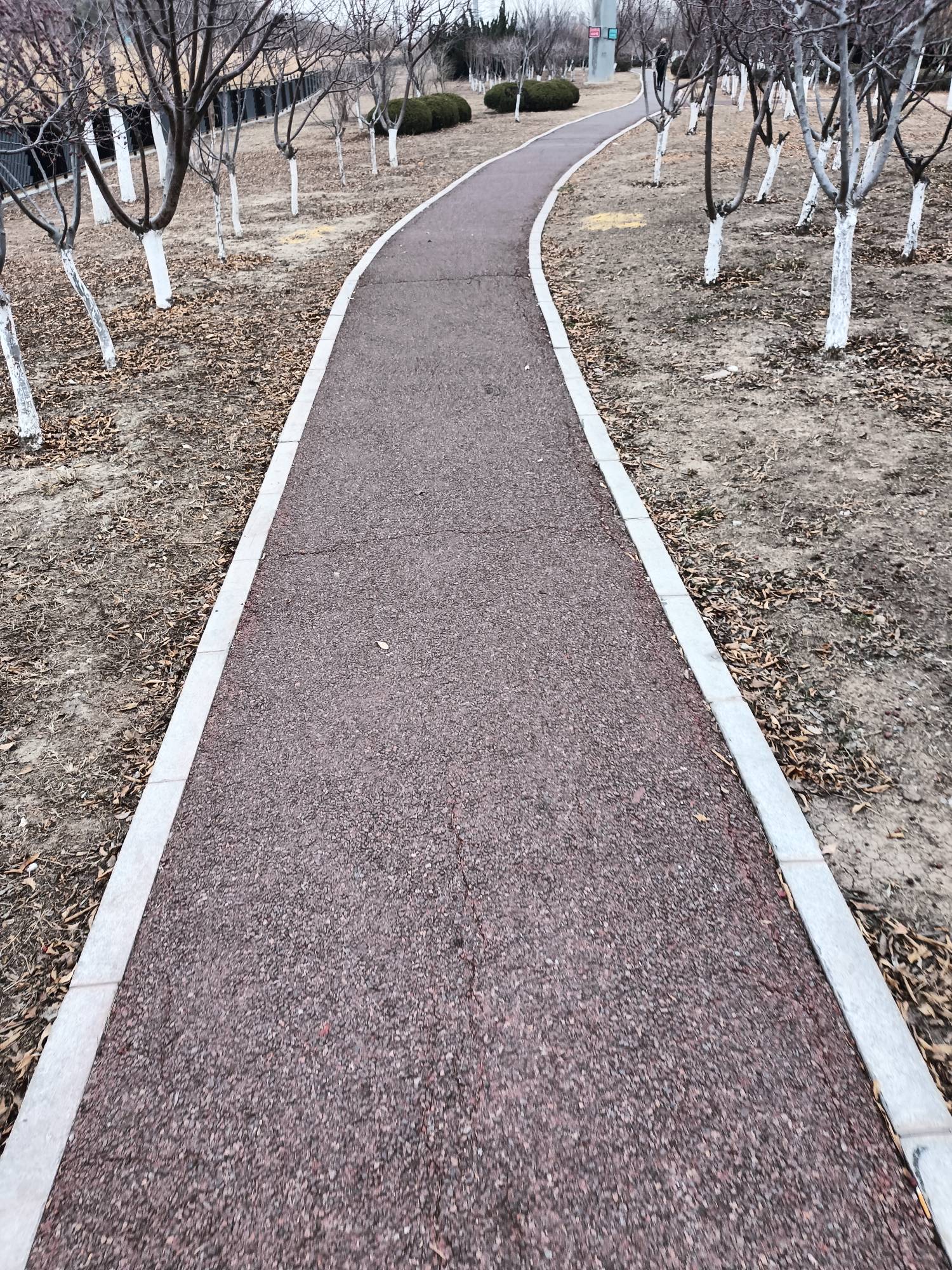 吃点早饭吧，太冷了

87 / 作者:生蚝熟了 / 