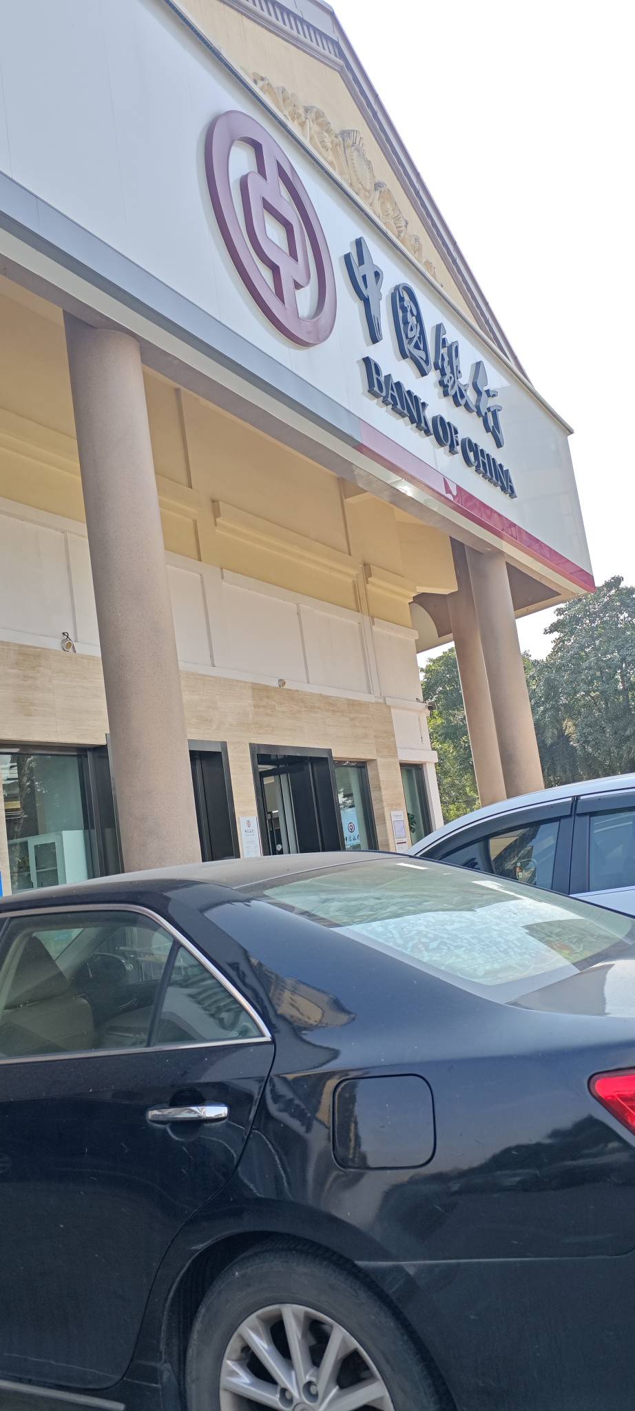 中行电子账户太多想去销户，会不会被嘲笑


2 / 作者:卡农豆包 / 