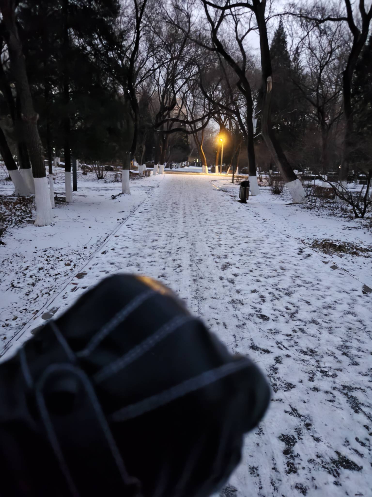 挂壁仔没地方去，只能漫无目的走

7 / 作者:番茄炒土豆 / 