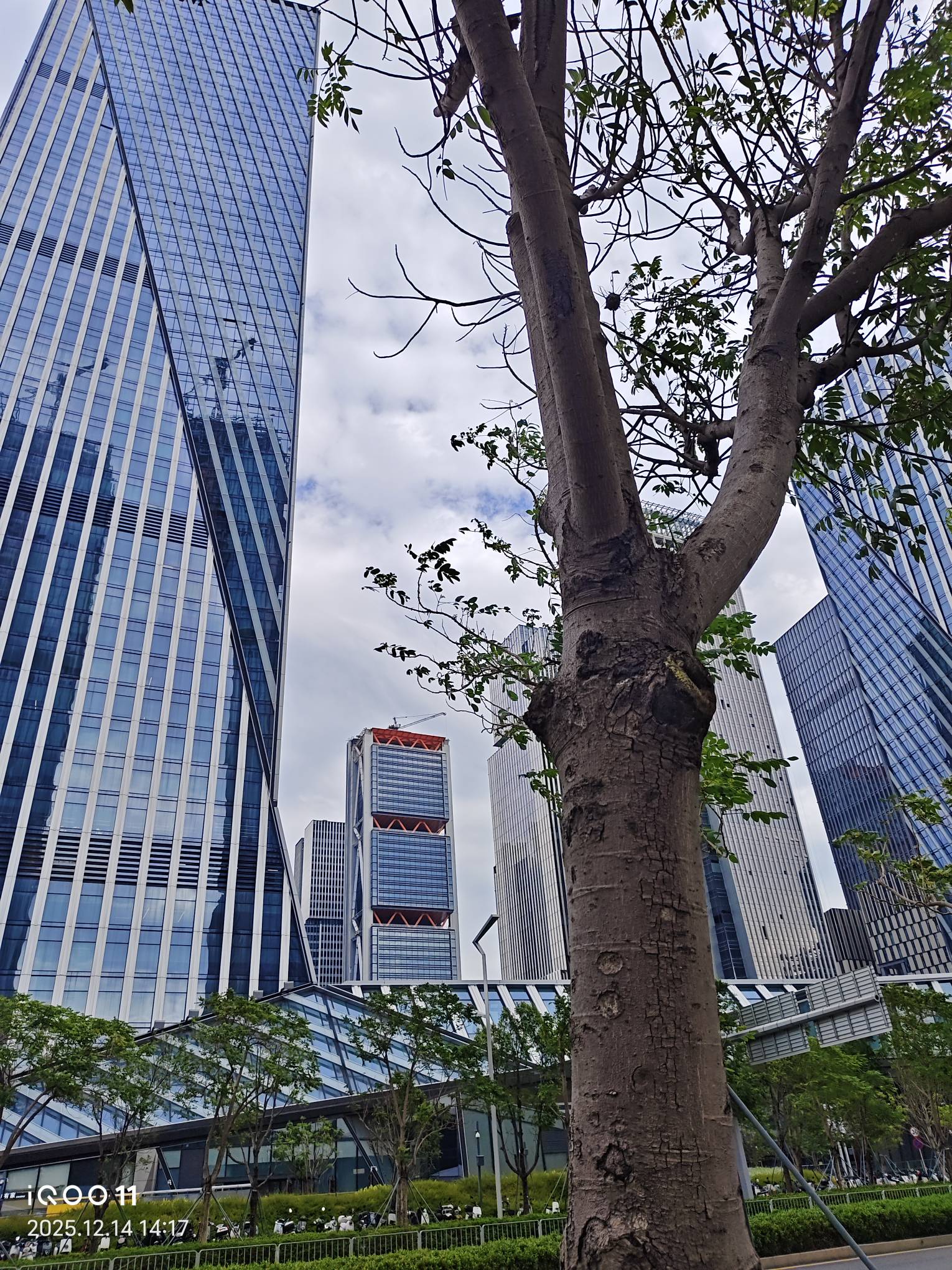 老哥们深圳有什么好工作？啥都不会 有没有招喂猪的？

38 / 作者:鱼来鱼旺 / 