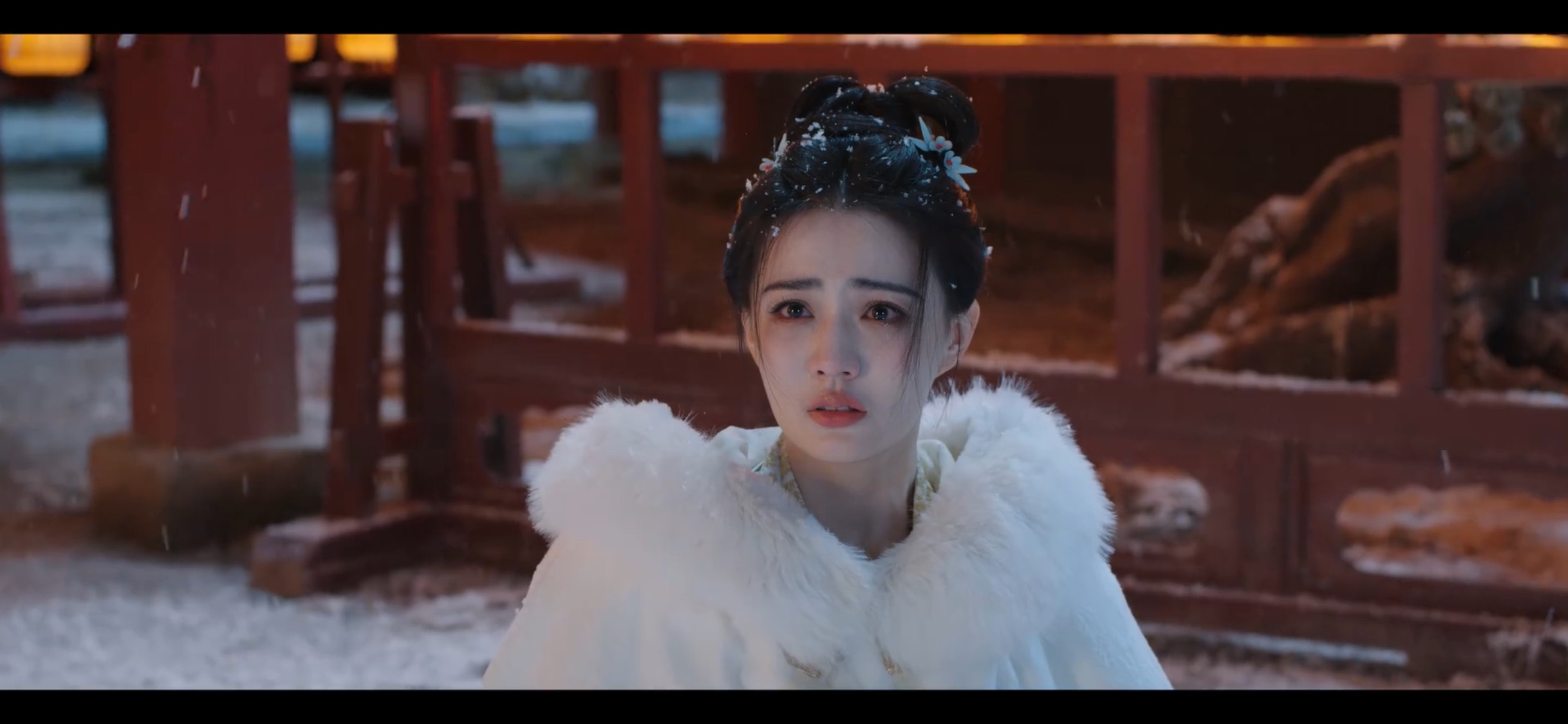 好美啊

99 / 作者:爱吃茄子的大包 / 