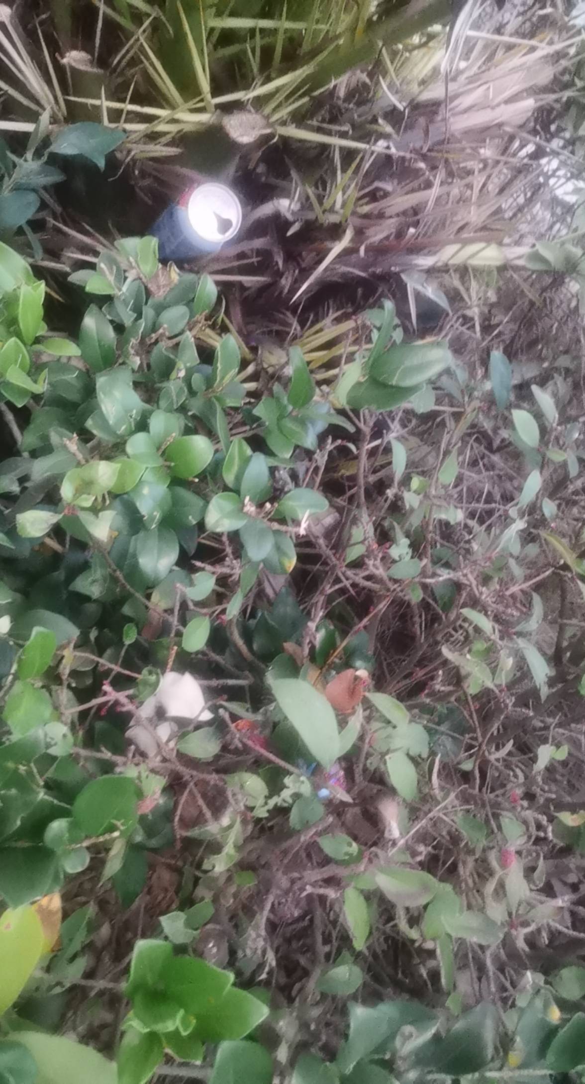 老哥们，刚申请了18.8无锡，马上归零了，买3听啤酒，打开喝，开一听变味一听，一看离65 / 作者:撸毛还贷 / 