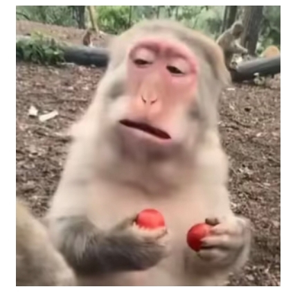 兄弟们来个人我领个vip会员我给红牛

77 / 作者:撸撸撸你 / 