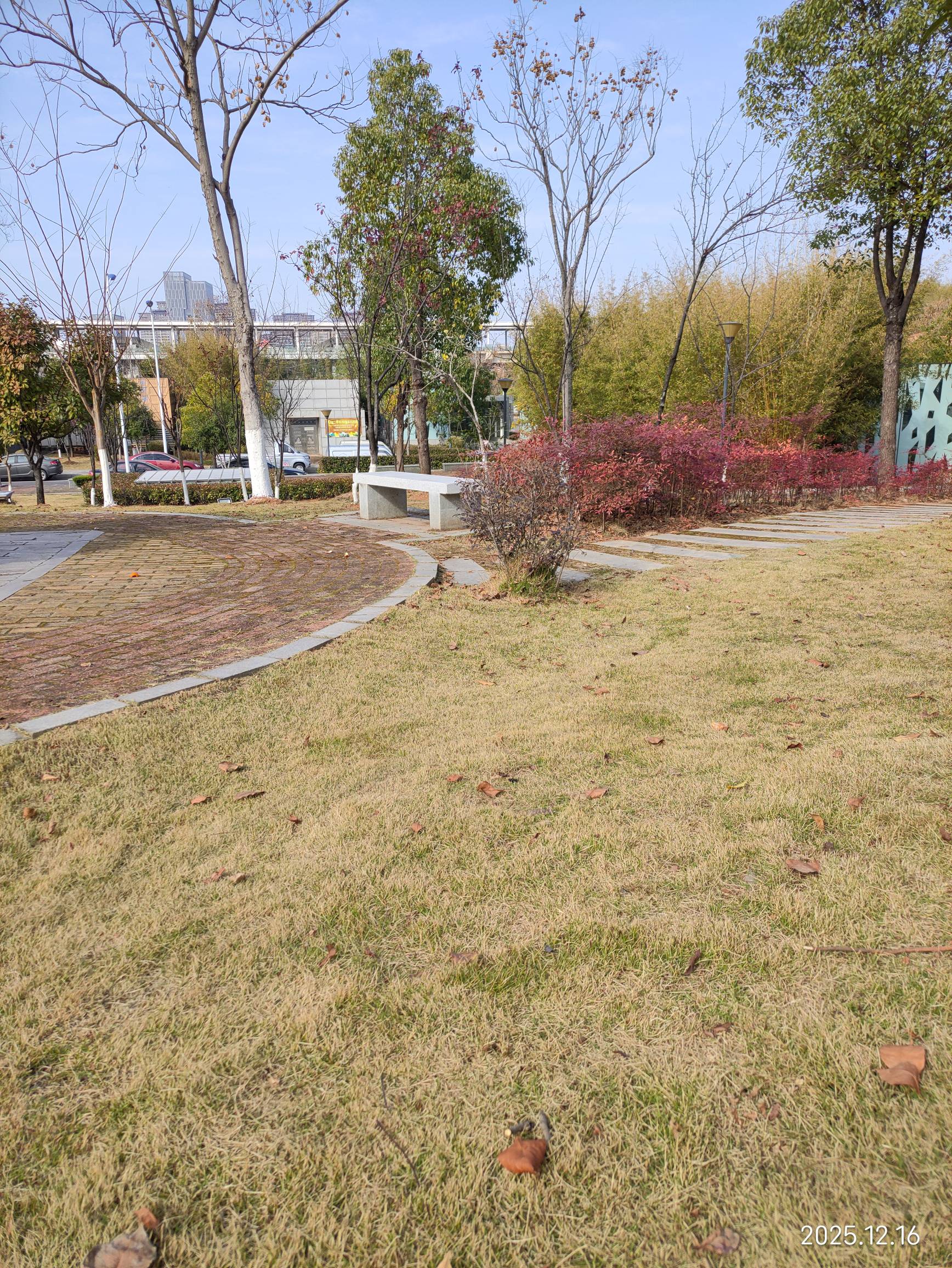 阳光明媚，出来晒晒太阳多舒服，挂比老哥们


5 / 作者:红菜苔 / 