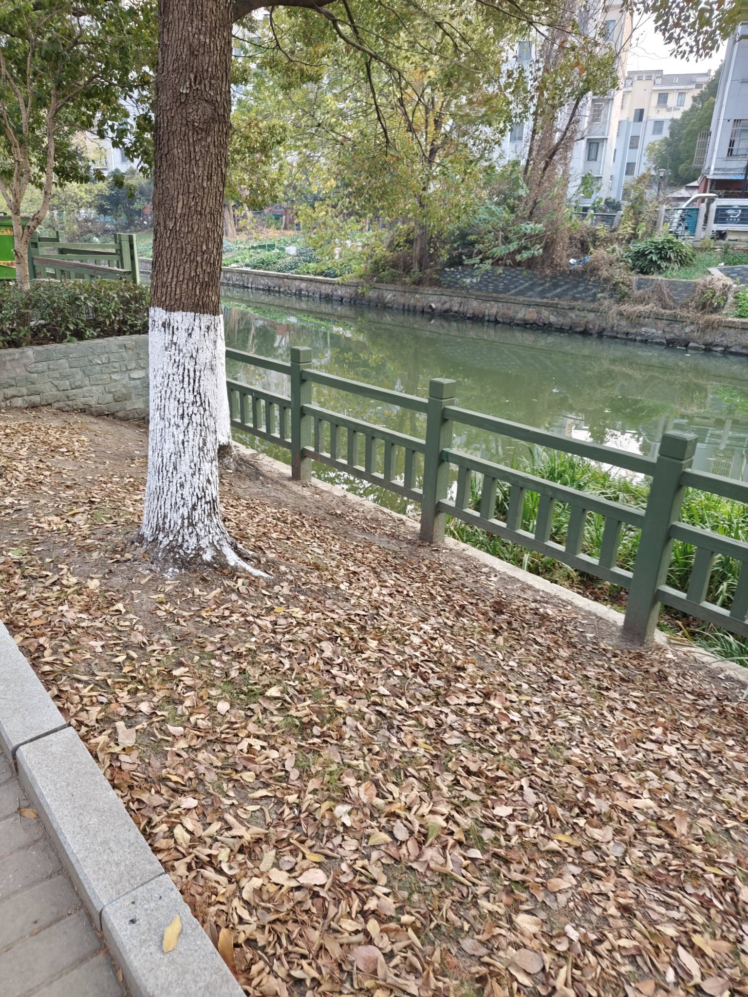 现在的衣服，毛衣秋衣保暖衣棉服裤子全是聚酯纤维，一点不透气，穿上稍微出去走走闷得83 / 作者:应无所住 / 