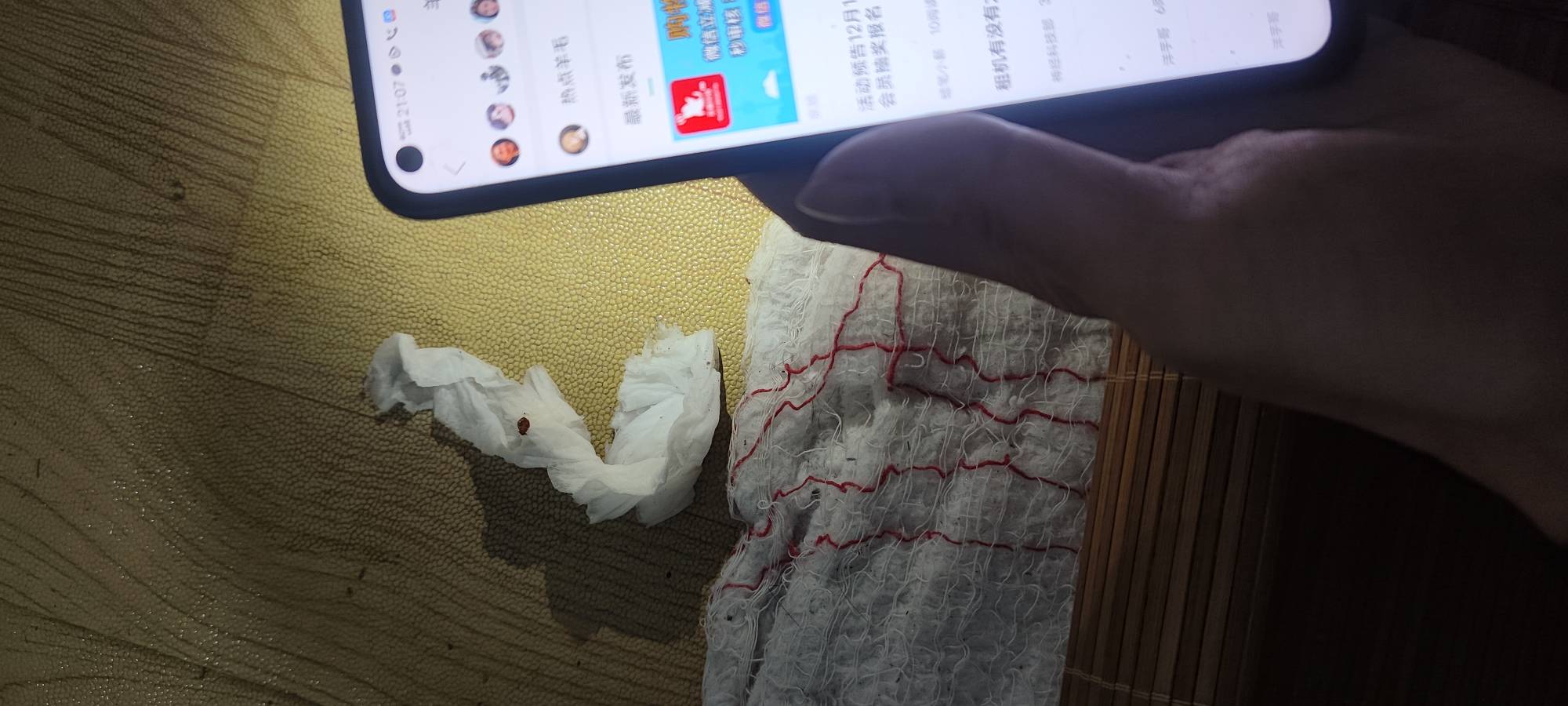 好恶心的臭虫 这种还没吸肚子扁的捏死最臭了，肚子圆吸饱了那种捏死不臭但全是血

14 / 作者:我不会. / 