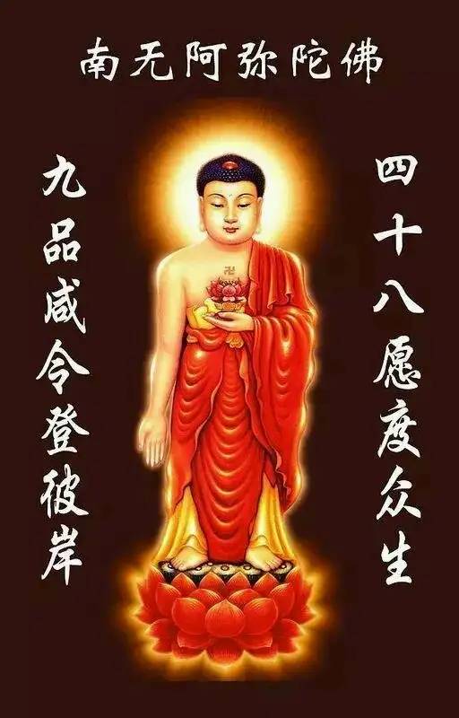 南无阿弥陀佛

87 / 作者:梦南国 / 