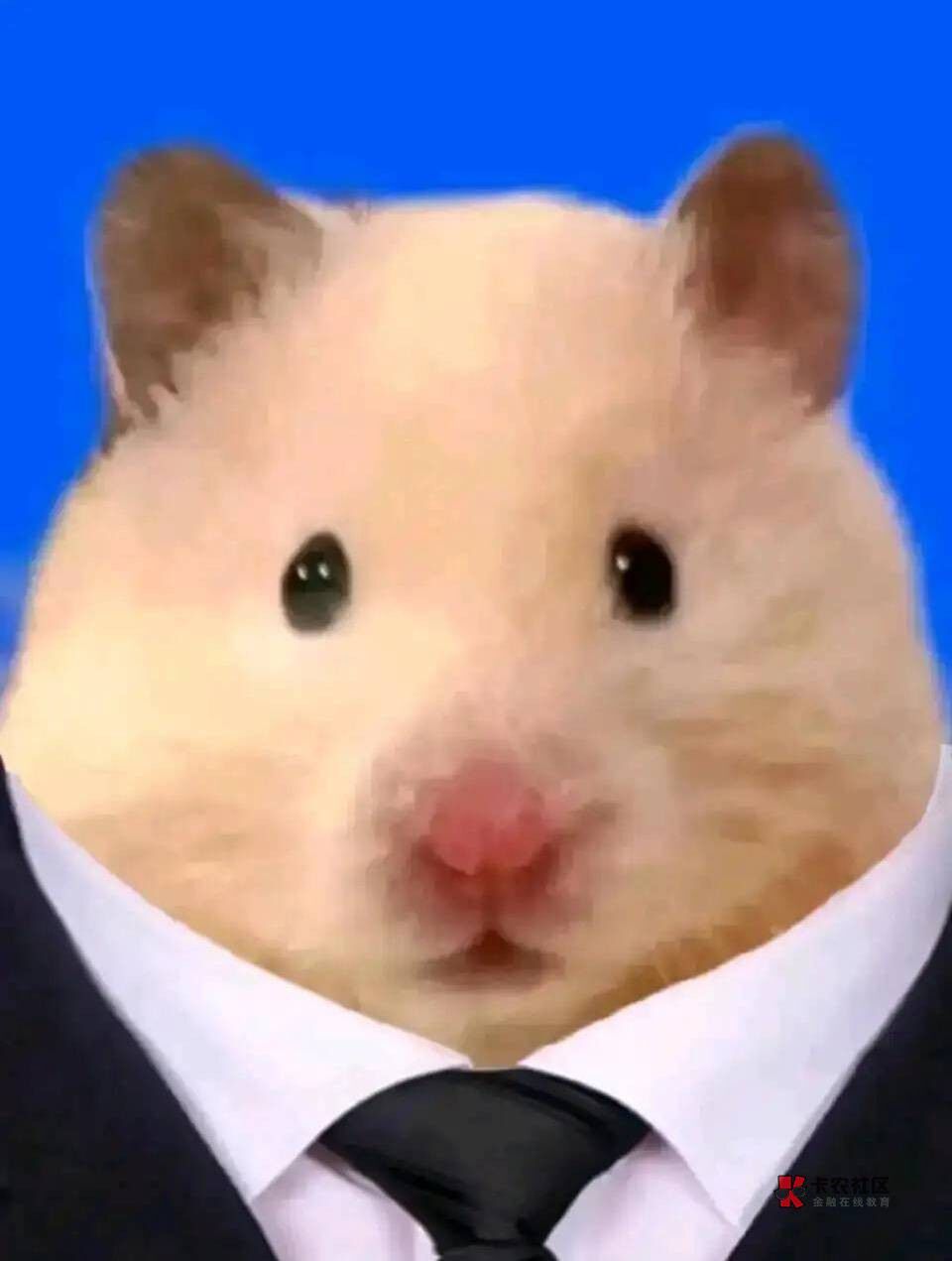 老哥们银行登不了，哪里能查到卡号

94 / 作者:文迪. / 