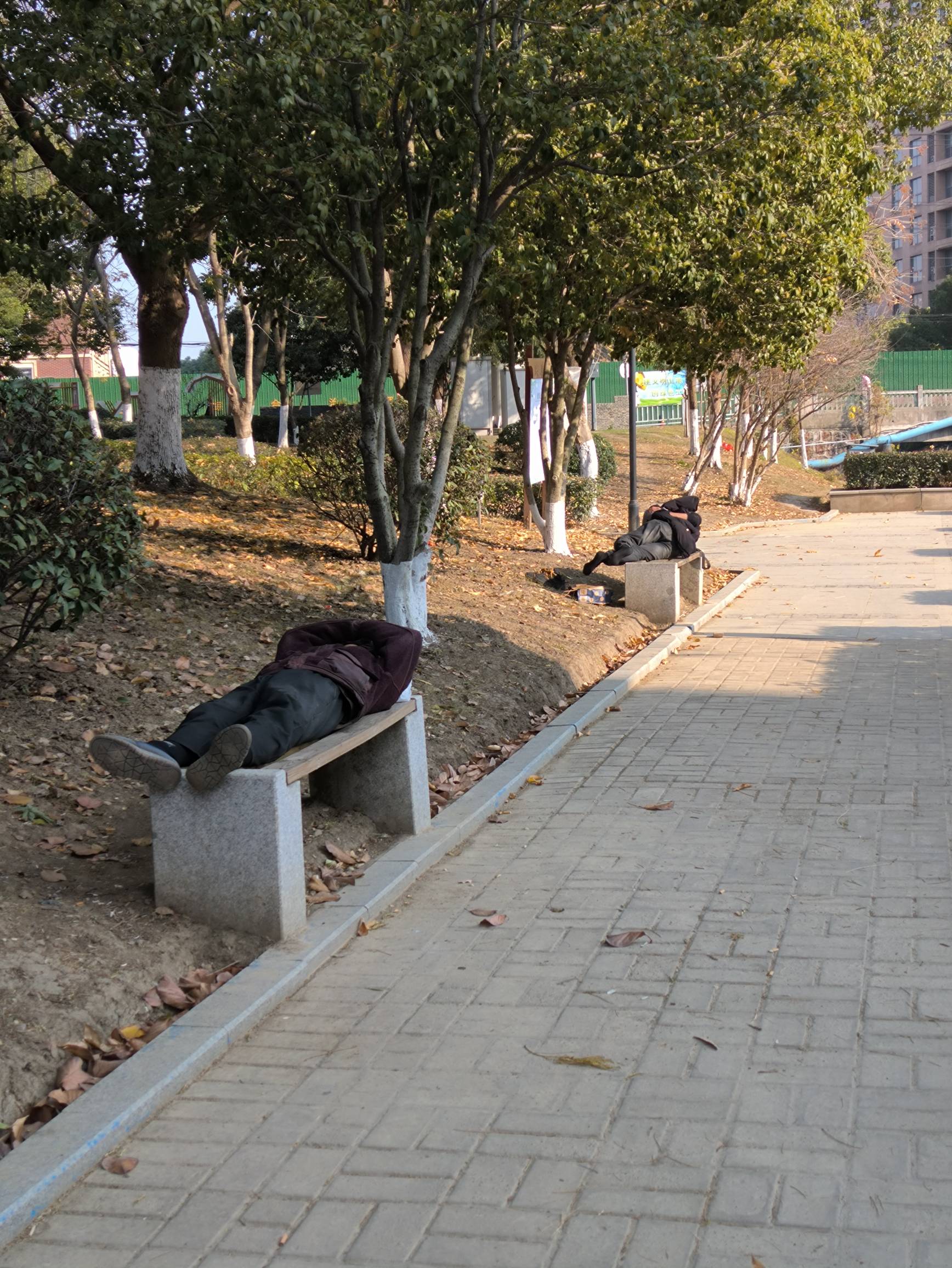 他么的，羊毛抢不过，来晚了睡得地方也抢不过

33 / 作者:摇摆的苏丹 / 