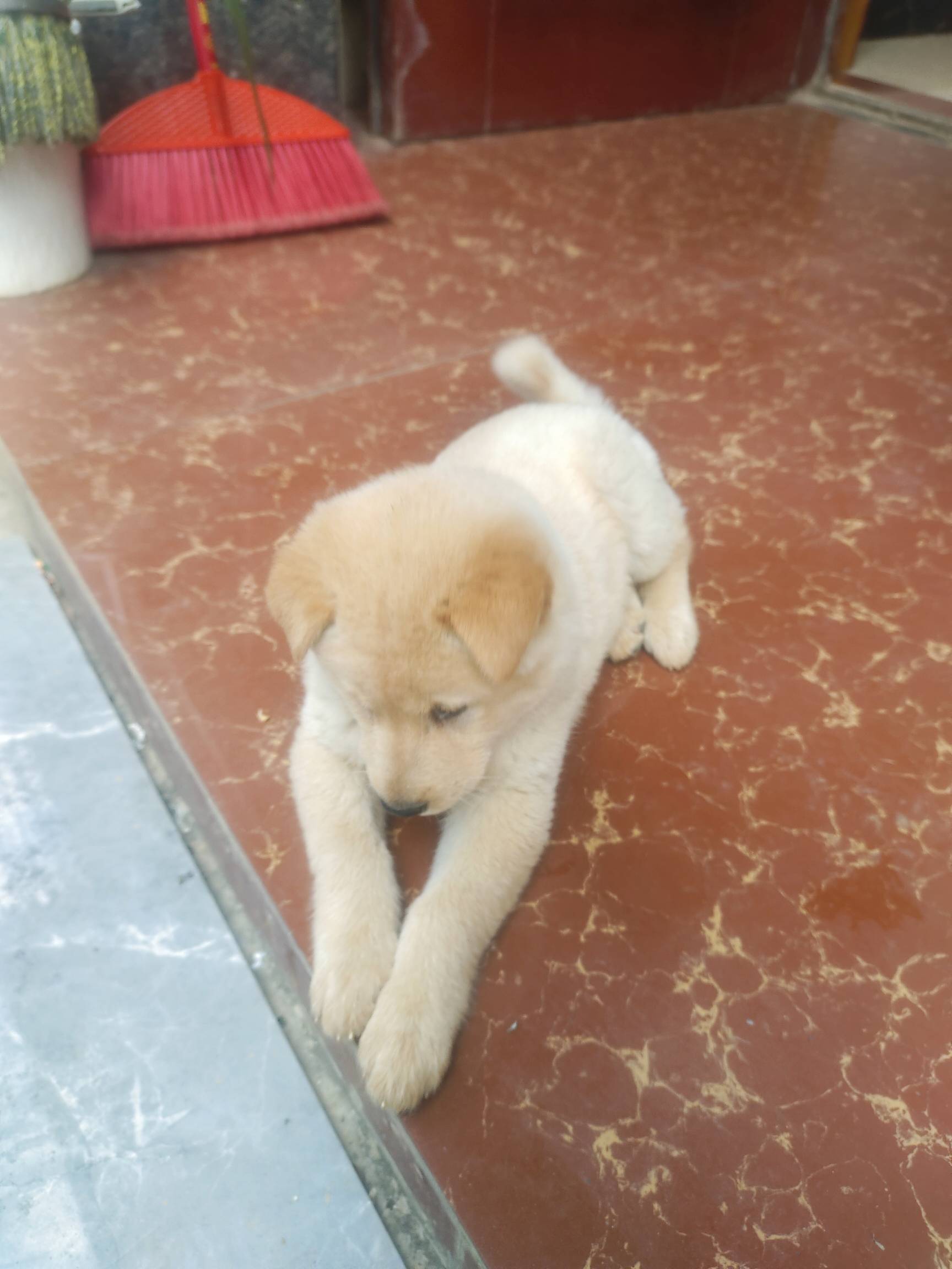 天下苦王八大群主久已，然假释其信，寐犬食，分狗稀，众生瓜尘。只闻狺狺狂吠，搔首弄22 / 作者:要辩难辩 / 