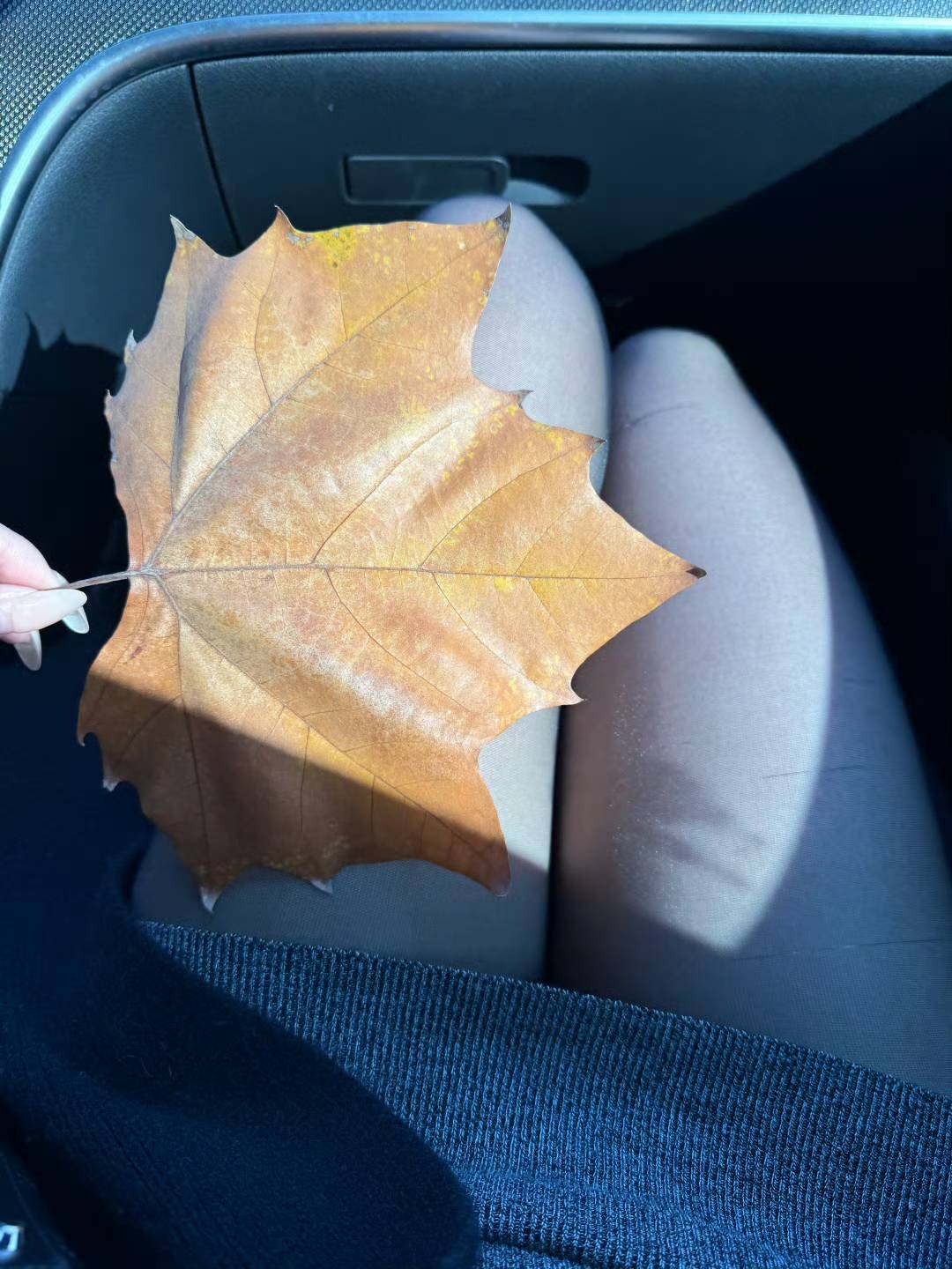 我宣布单方面与民生解除合作关系

90 / 作者:一只麓 / 