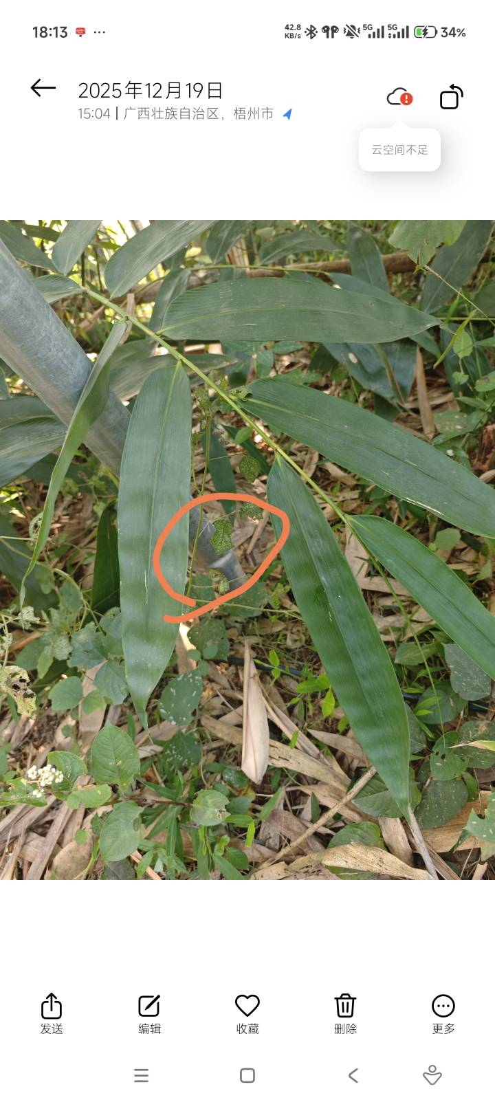 老哥们，这种有什么方法加固一下
100多一条铁杆，质量这么差  才两个月左右就弯了 
除62 / 作者:击剑柿子 / 