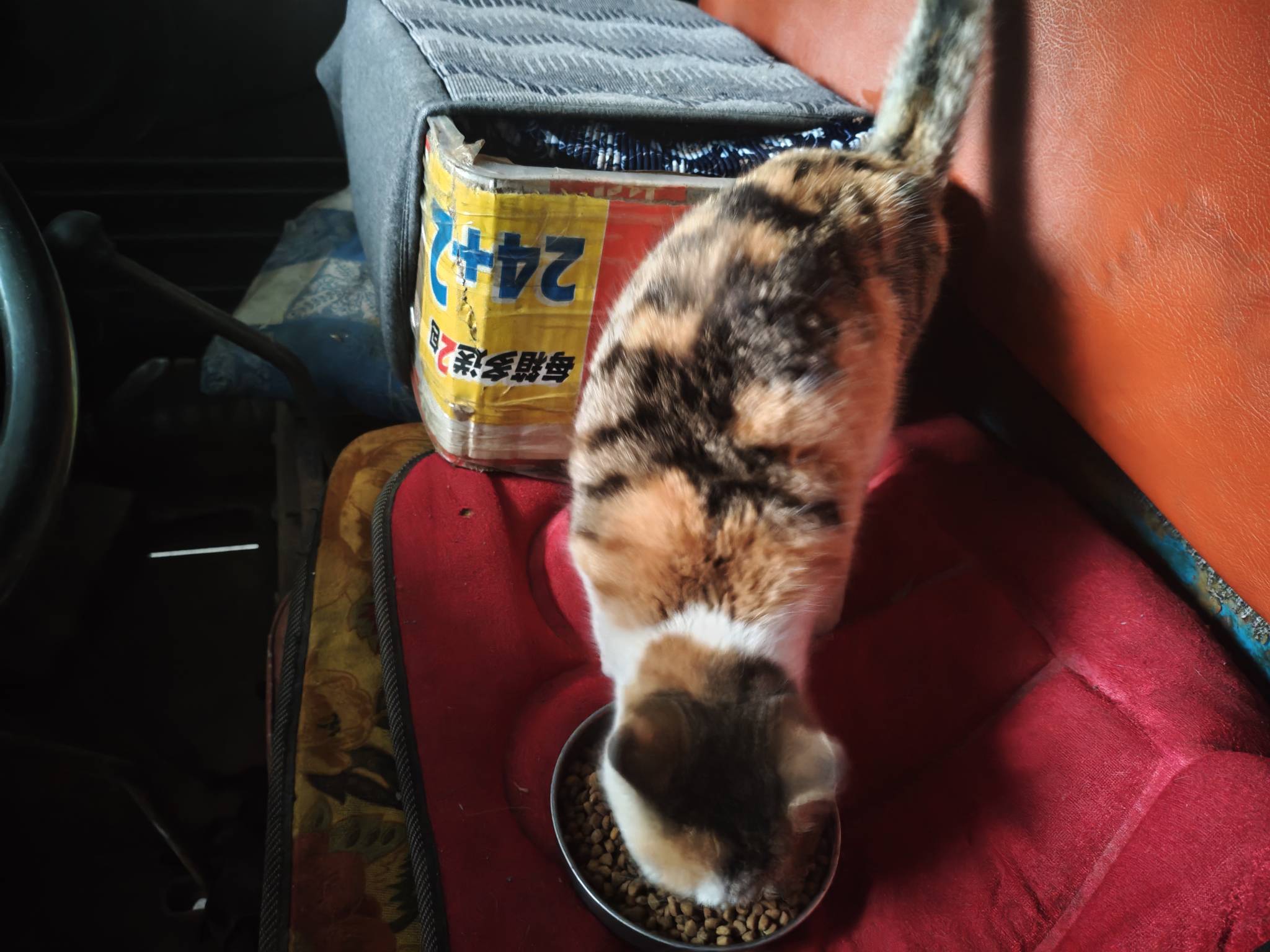 部落命运啥毛啊老哥们


92 / 作者:苦难yt / 