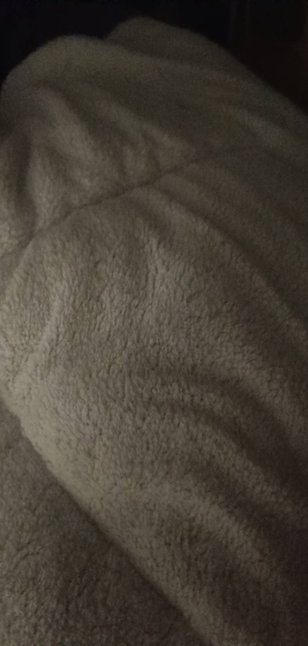 京东买的羊毛被7斤88毛  一点都不暖和  不是锁温的吗？  我买的假货吗？ 冷醒了。

49 / 作者:开弓没有回头箭 / 