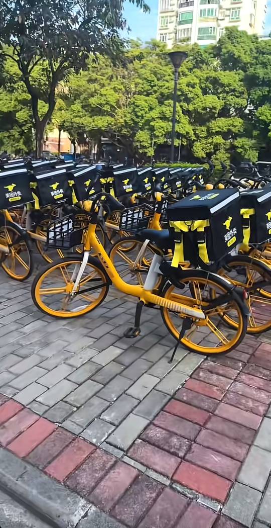 广东已经开始这样送外卖了吗？

62 / 作者:看看老哥怎么搞 / 