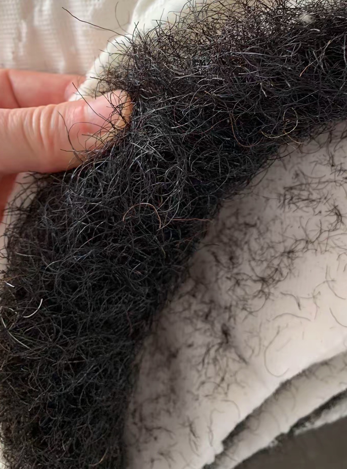 毛呢？
5 / 作者:不知明的靓仔 / 