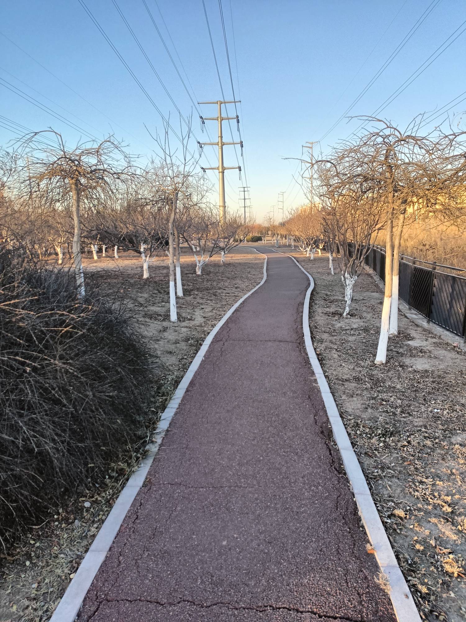 又是大晴天，溜达溜达

85 / 作者:生蚝熟了 / 