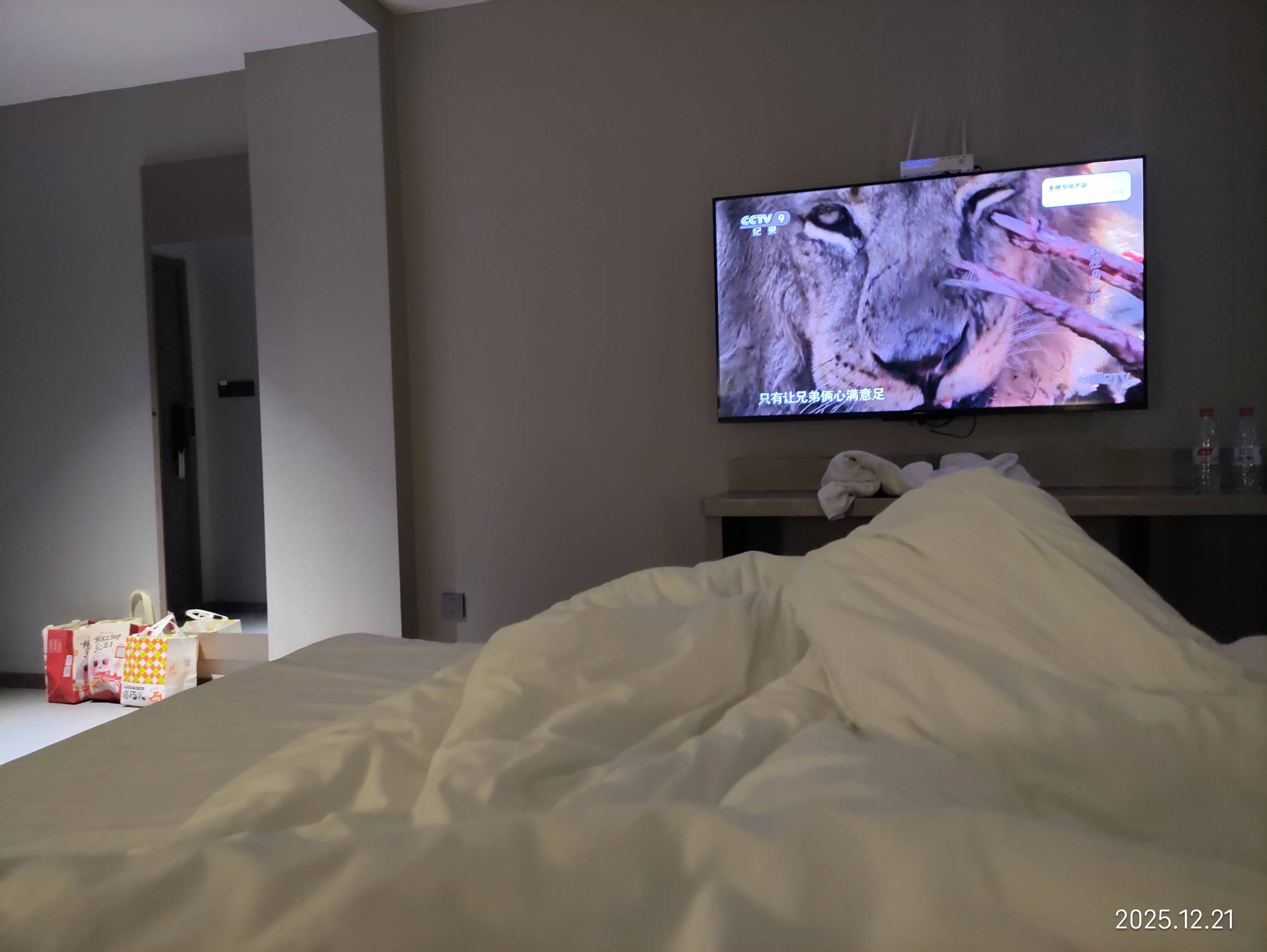 老哥们，又倒下了，这次连半个月都没稳住，   这几天在酒店没出门大战想追回来，结果24 / 作者:红菜苔 / 