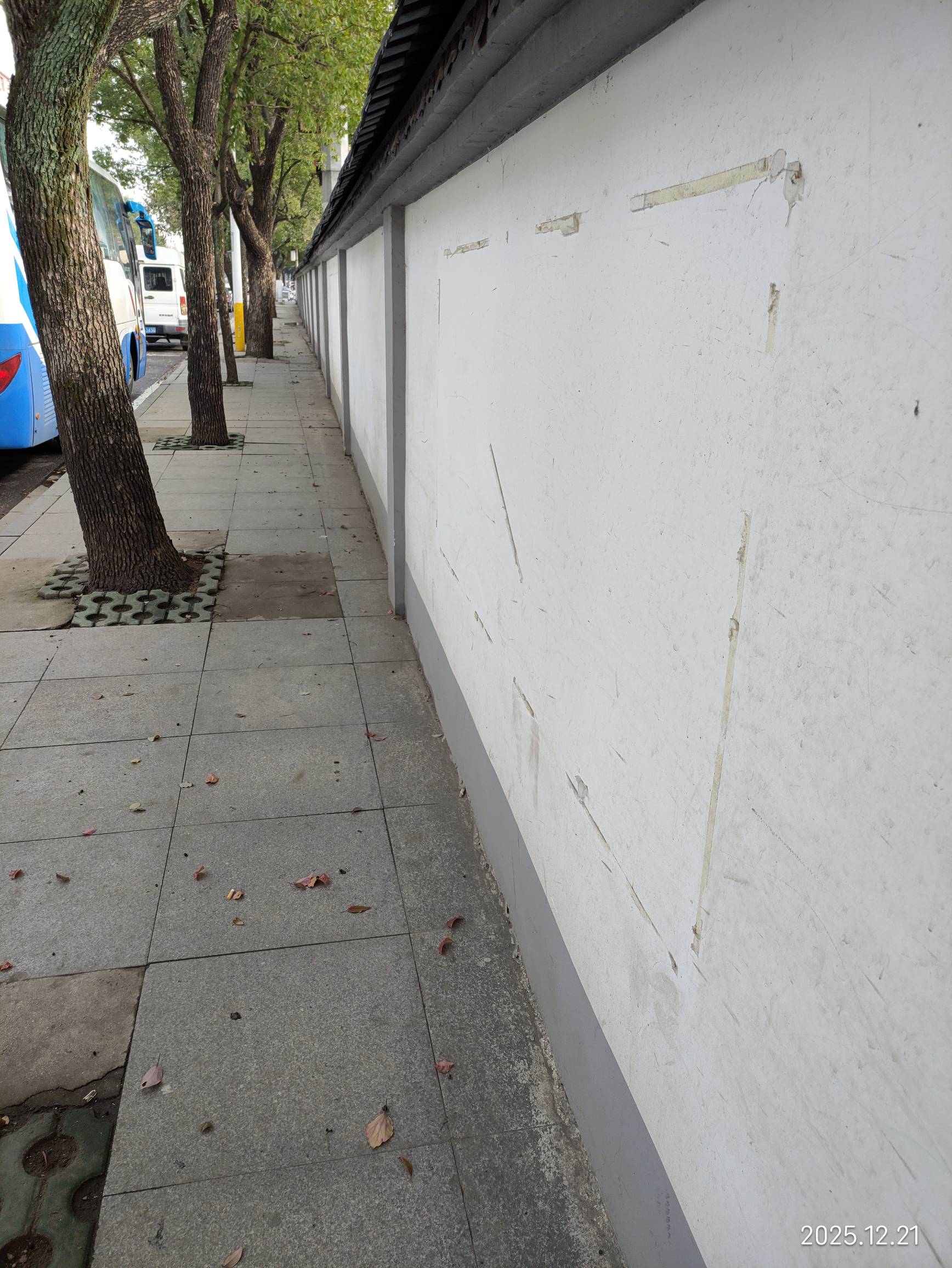 本来倒下了，从酒店出来，今天冬至特别冷走在冷风中，看到老哥发的买买提，鲁了50毛96 / 作者:红菜苔 / 