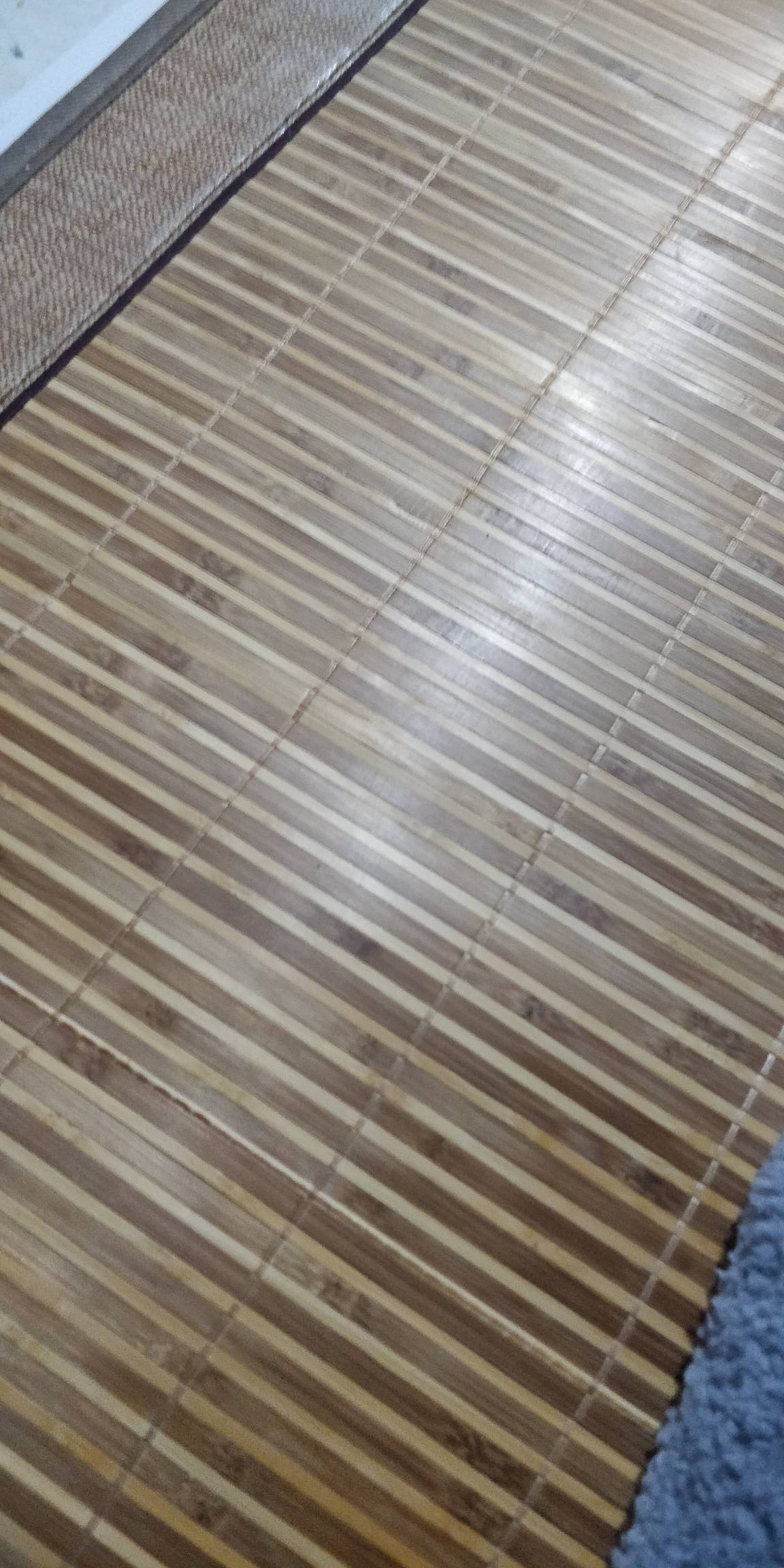 扛不住了兄弟们，怎么说

59 / 作者:还是躺下了 / 