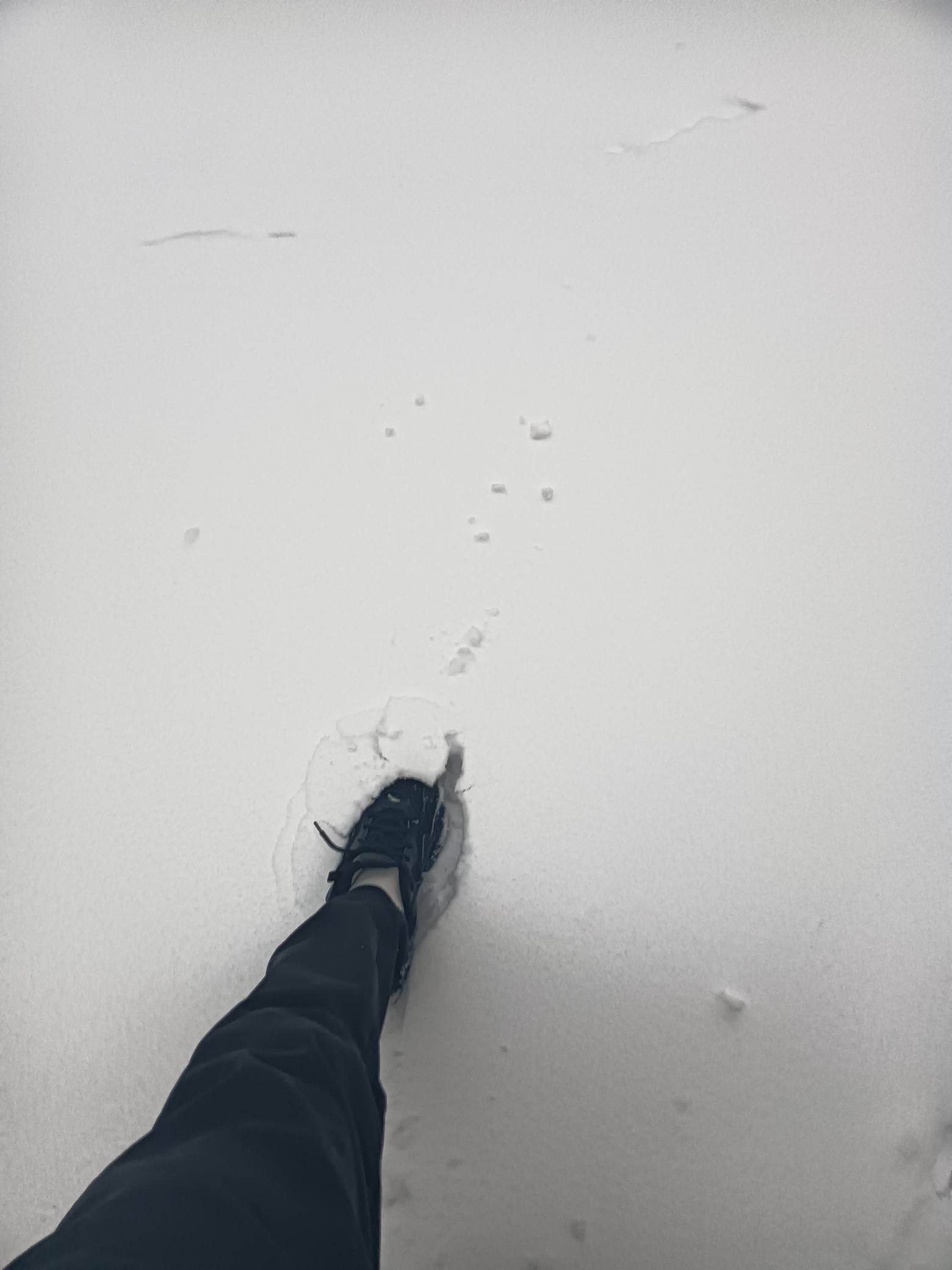 卡农南方老哥跑外卖，下雨天不跑，刮风天不跑，天冷不跑，单价低不跑，自己给自己找个14 / 作者:变了格局小了 / 