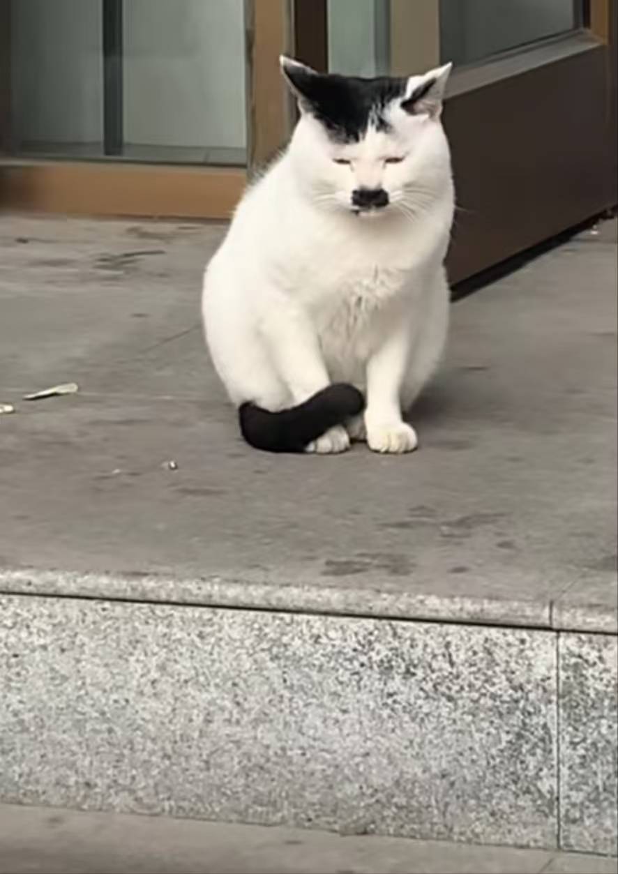 中行飞了甘肃和北京，下一关飞哪里老哥们带带小老弟

98 / 作者:芥末芥末芥末 / 