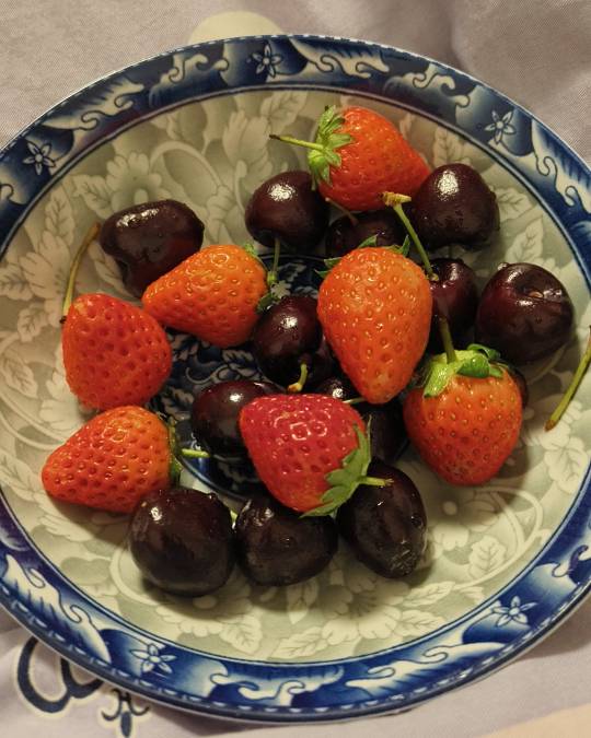 华为买了两个星期的挂壁水，天天免费吃零食，以后都没了吗

96 / 作者:诚信1不要骗人 / 