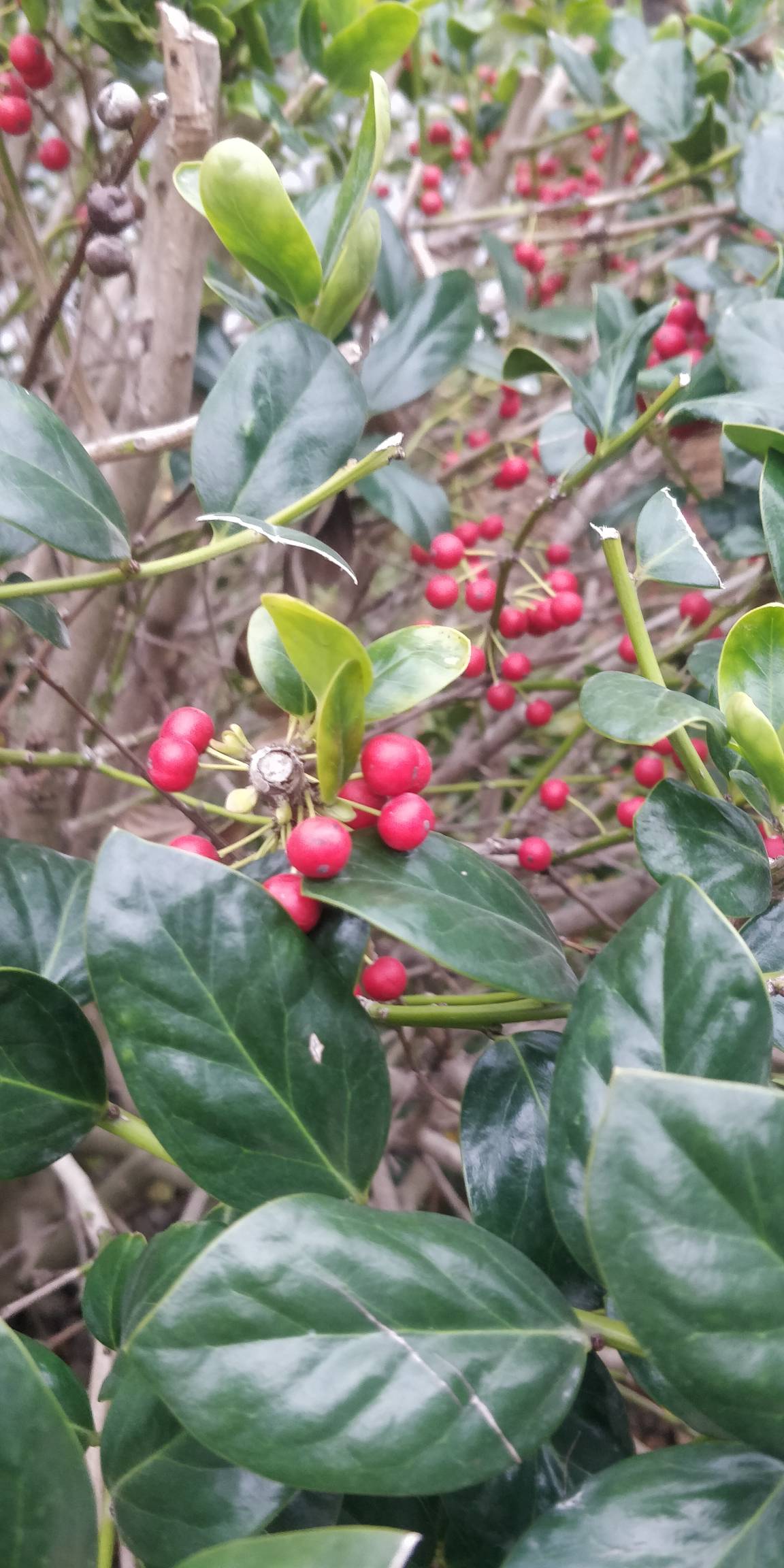 老哥们，饿坏了，能吃吗

12 / 作者:还是躺下了 / 