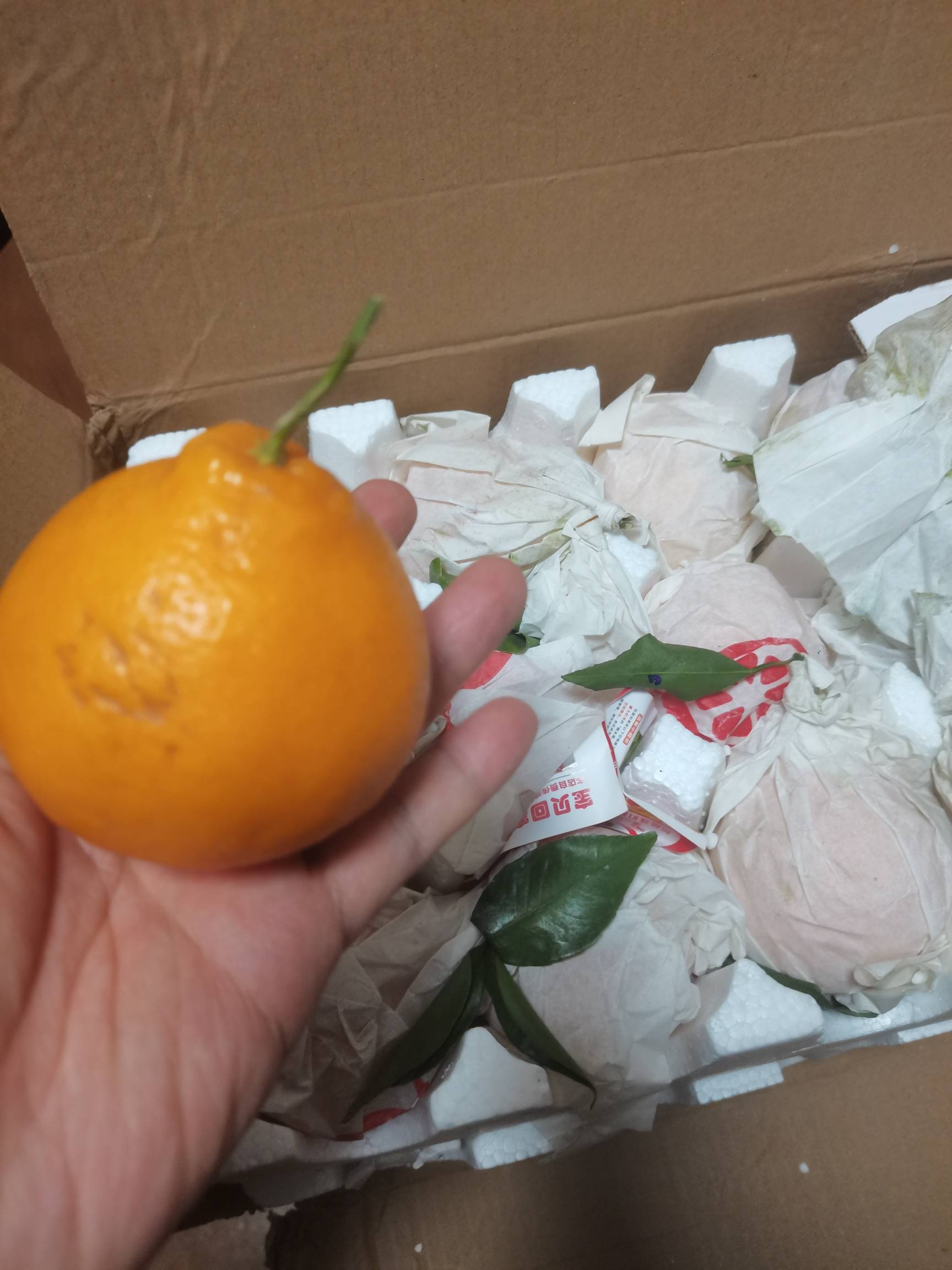 拼夕夕免单的四川耙耙柑，个头有点小，不过味道真的不错，挺新鲜免单有卸载拼夕夕两三70 / 作者:小目标。 / 