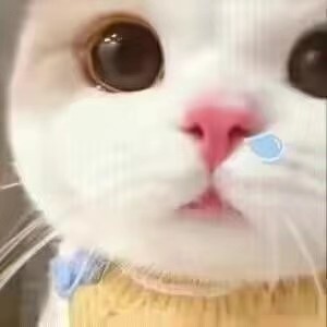 旅行世界又卷起来了，鱼一堆挂20的

9 / 作者:卡西10 / 