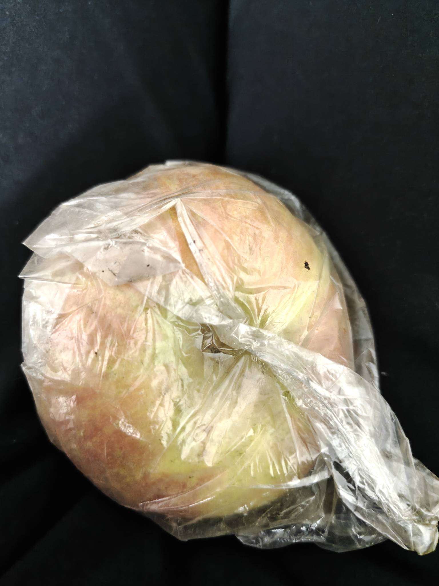 我也有老飞翔们。正宗的荷兰苹果


23 / 作者:YukiXX / 