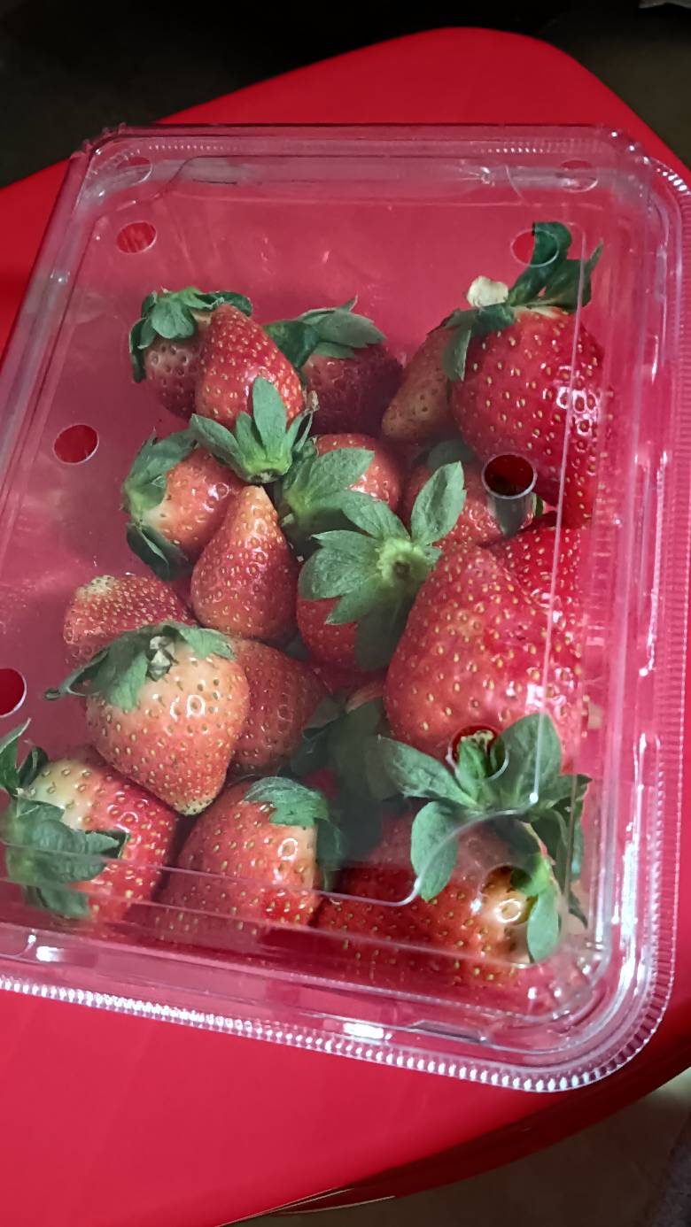 乡下物价真便宜，买一盒草莓13，小肠11块一斤

53 / 作者:福建牛德华 / 