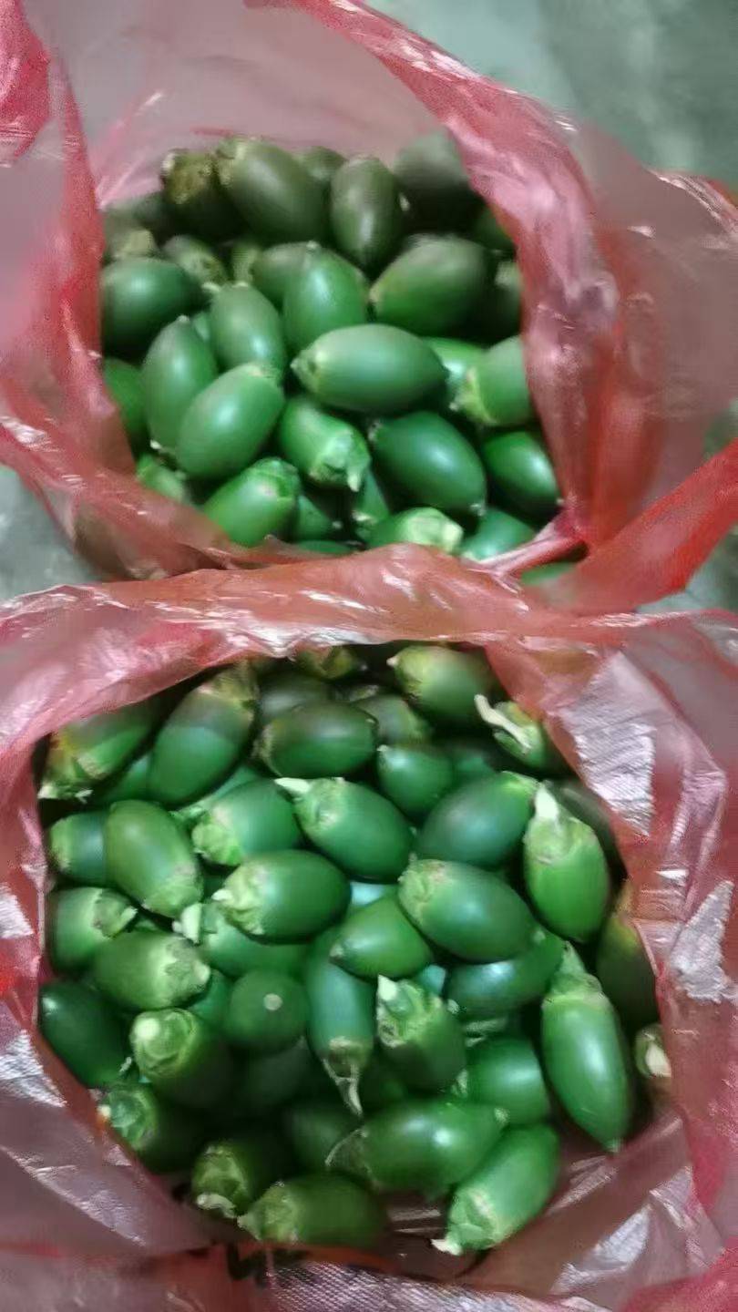 吃槟榔给我打电话


44 / 作者:亳州板面、 / 