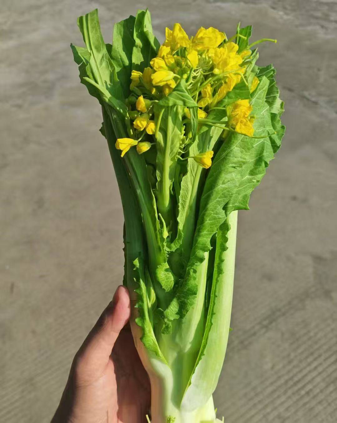 刚才打了新疆银行开户行的电话，气死了，他叫我能用就有 不用能别用

85 / 作者:普宁特邀演员达濠 / 