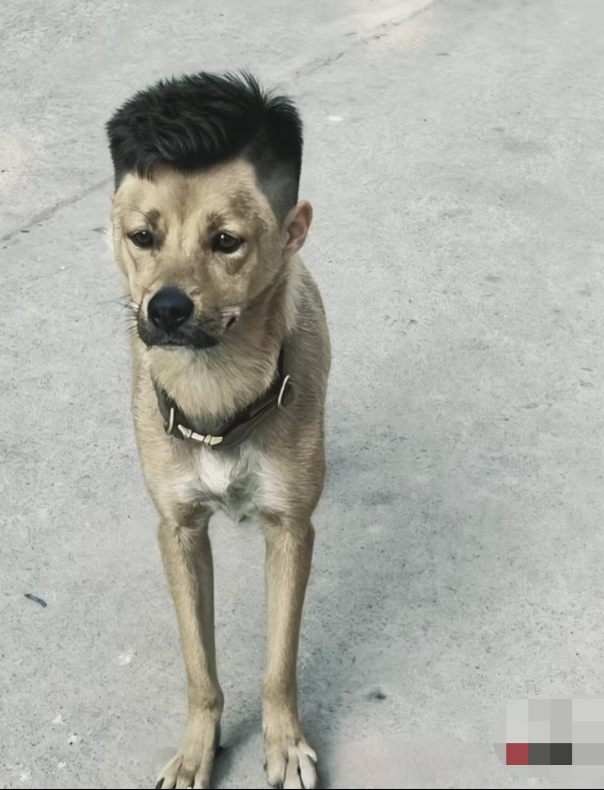 这西安银行的还不承认，就是faker！

5 / 作者:秋隔一日 / 