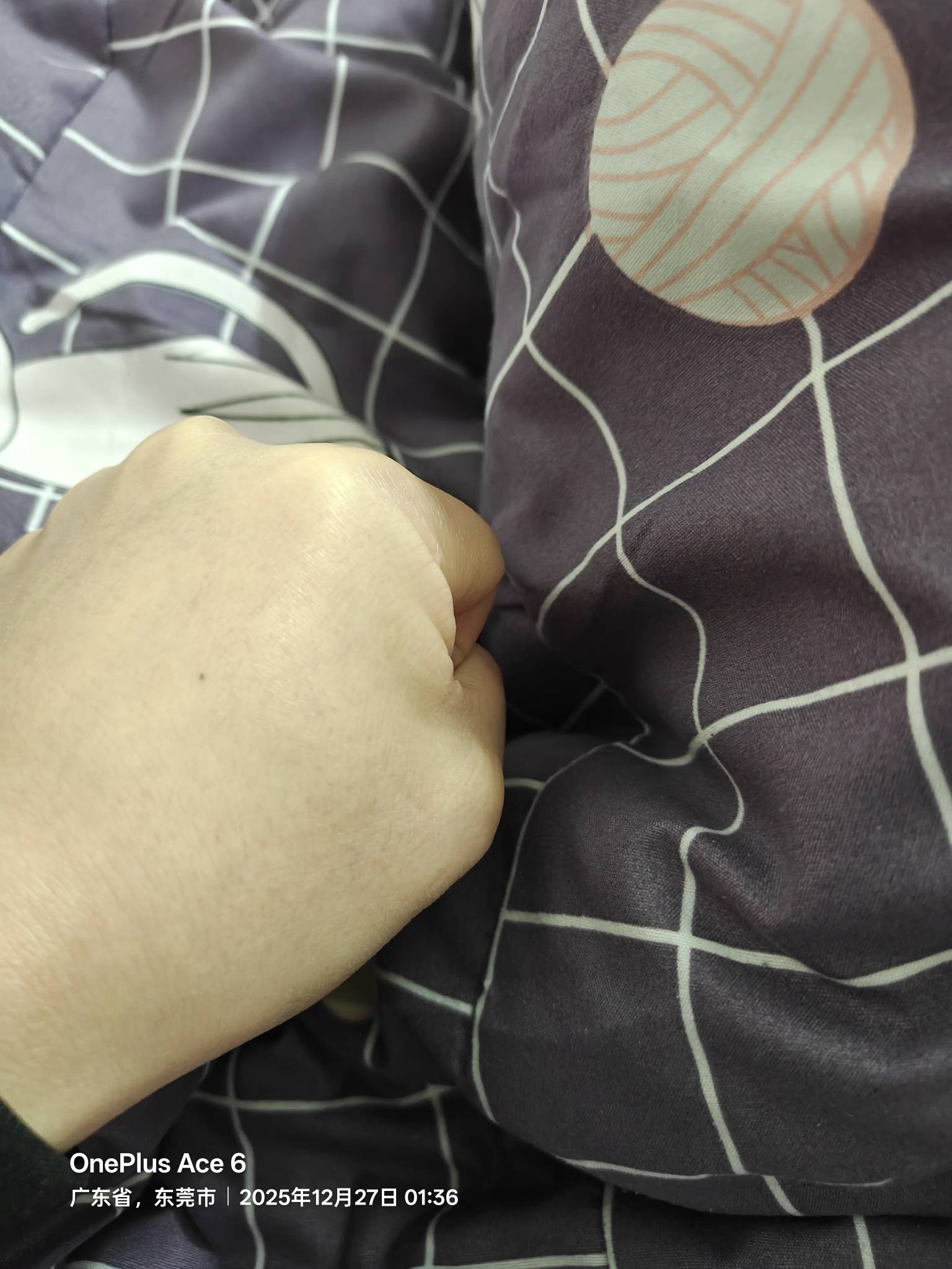 睡觉，100斤的身体一个人睡太冷了，想搂着一个老哥睡。

84 / 作者:公孙梨pear / 